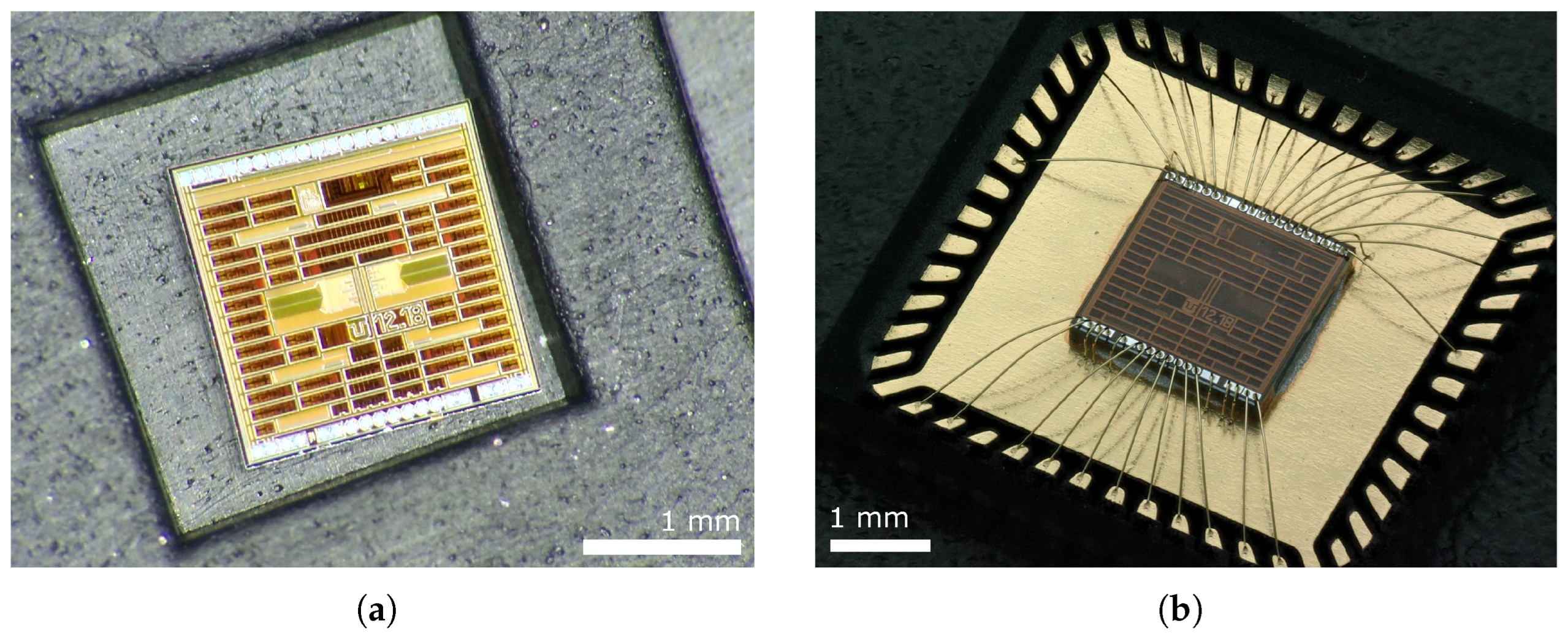 Sensors 24 02838 g023