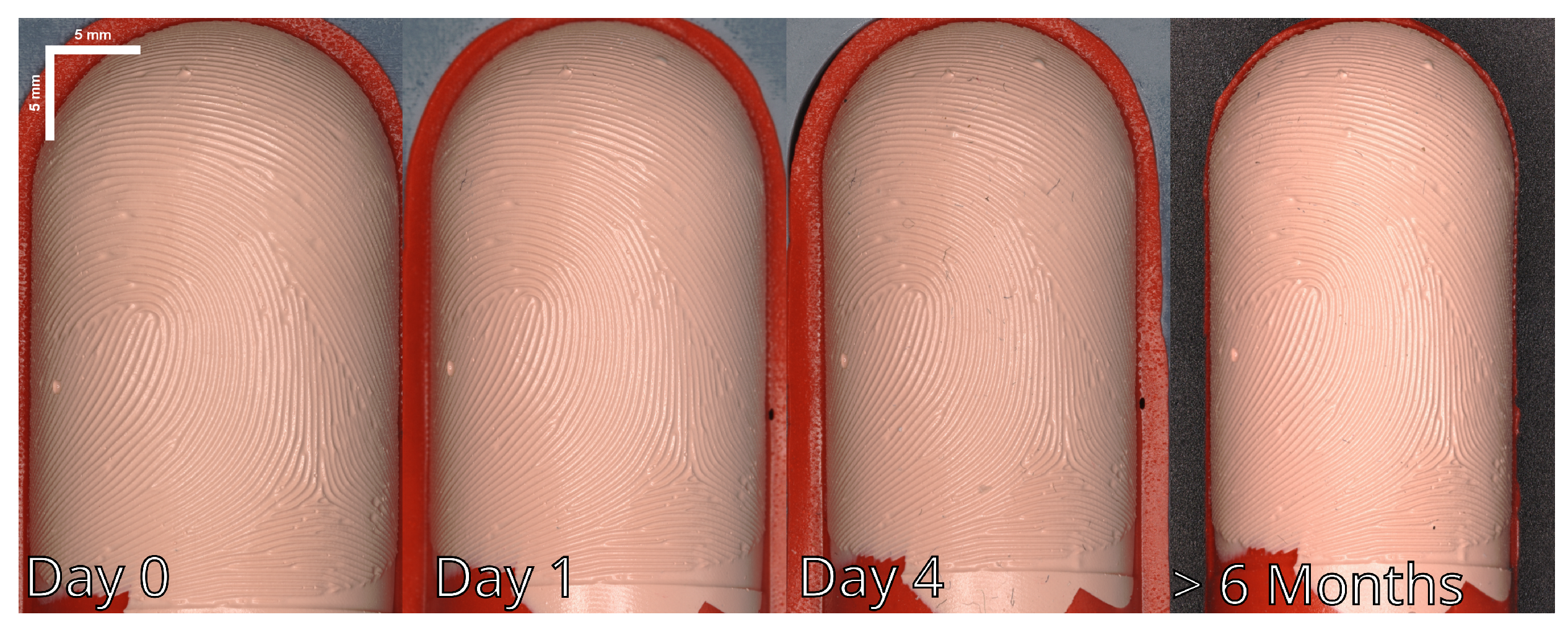 Sensors 24 02847 g017