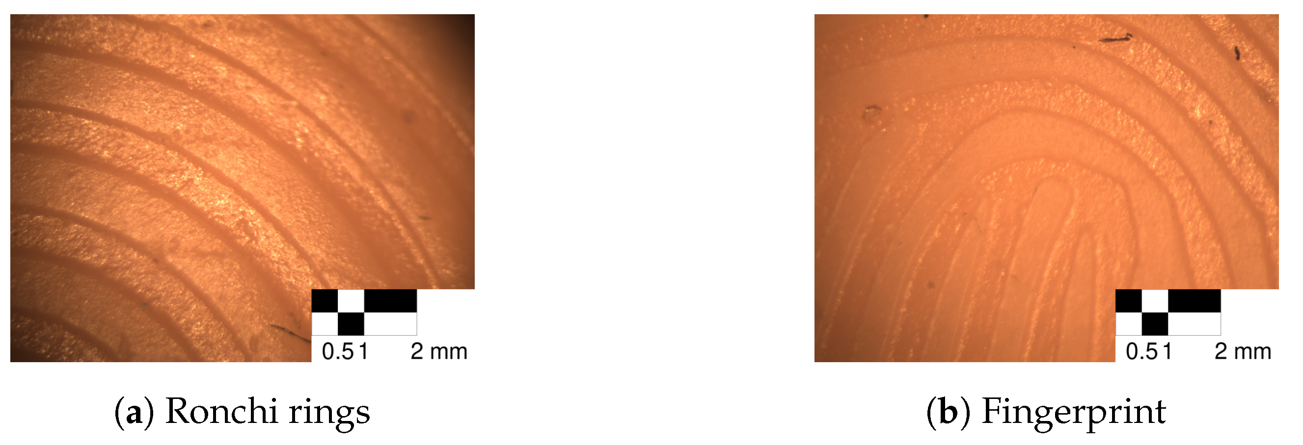 Sensors 24 02847 g021