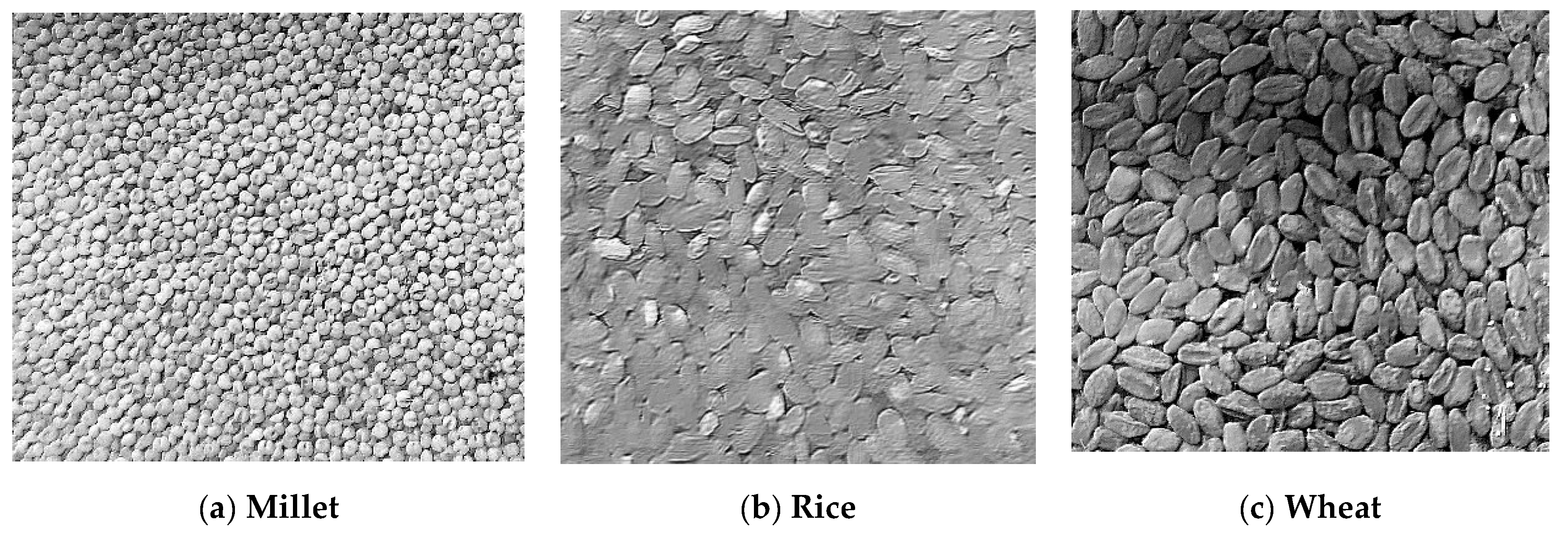 Sensors 24 02854 g001