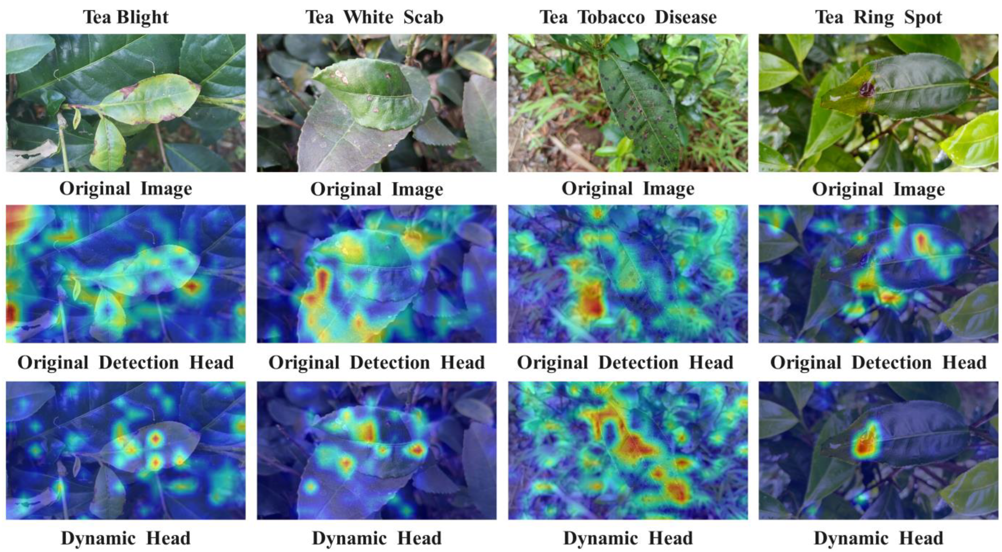 Sensors 24 02896 g007