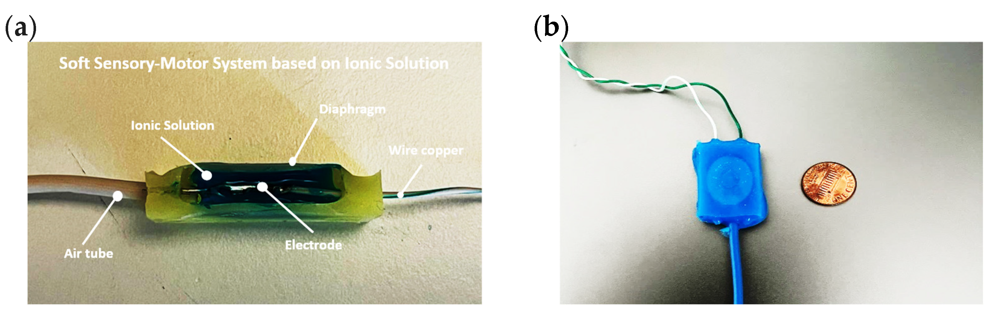 Sensors 24 02900 g003
