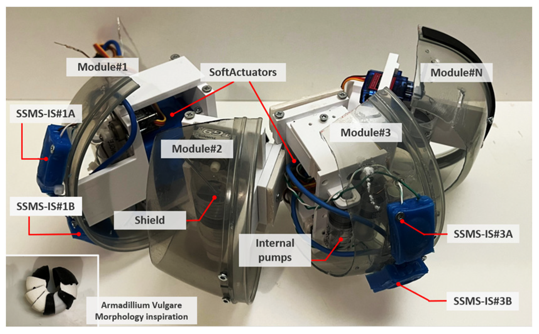 Sensors 24 02900 g004