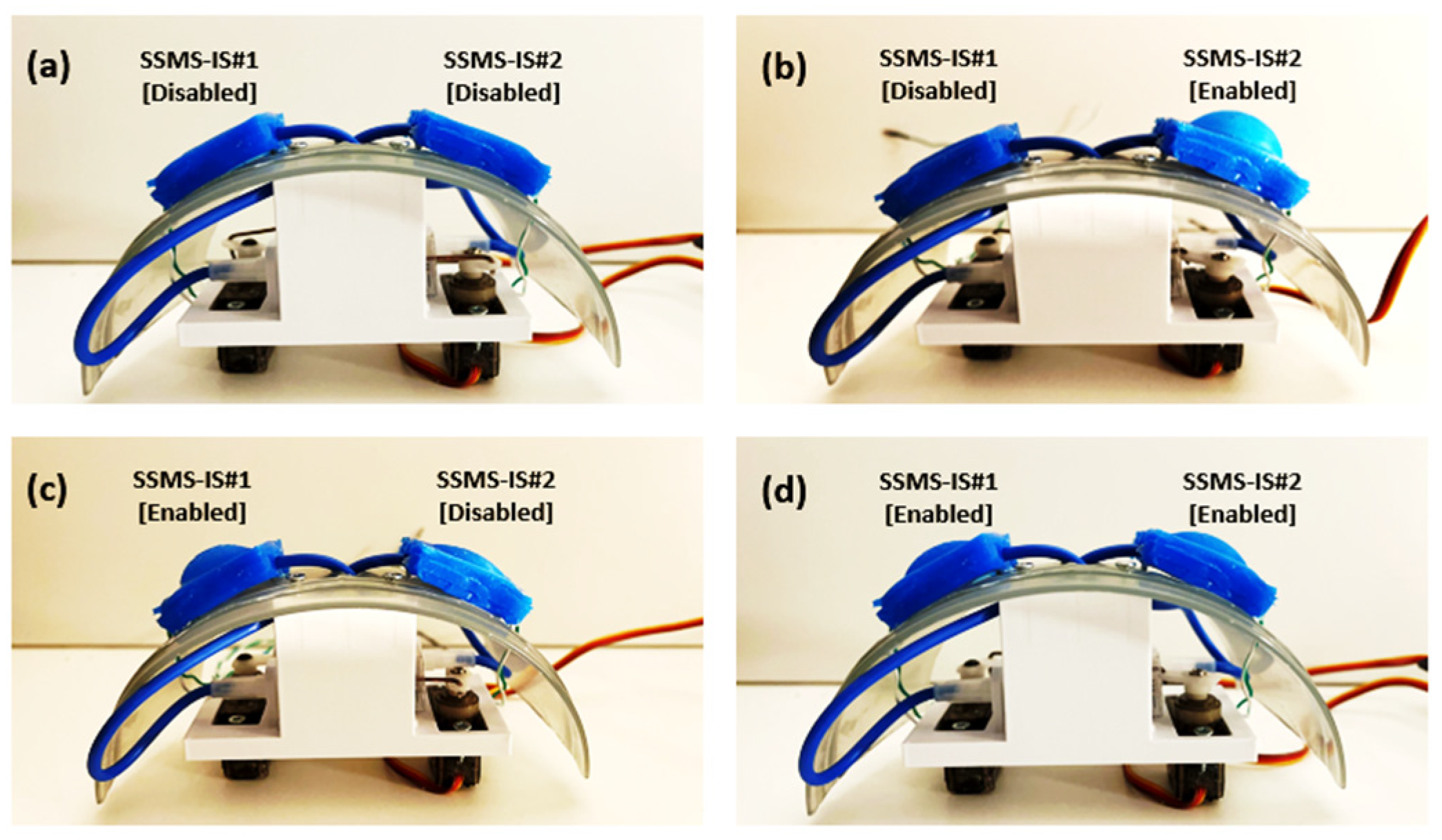 Sensors 24 02900 g006