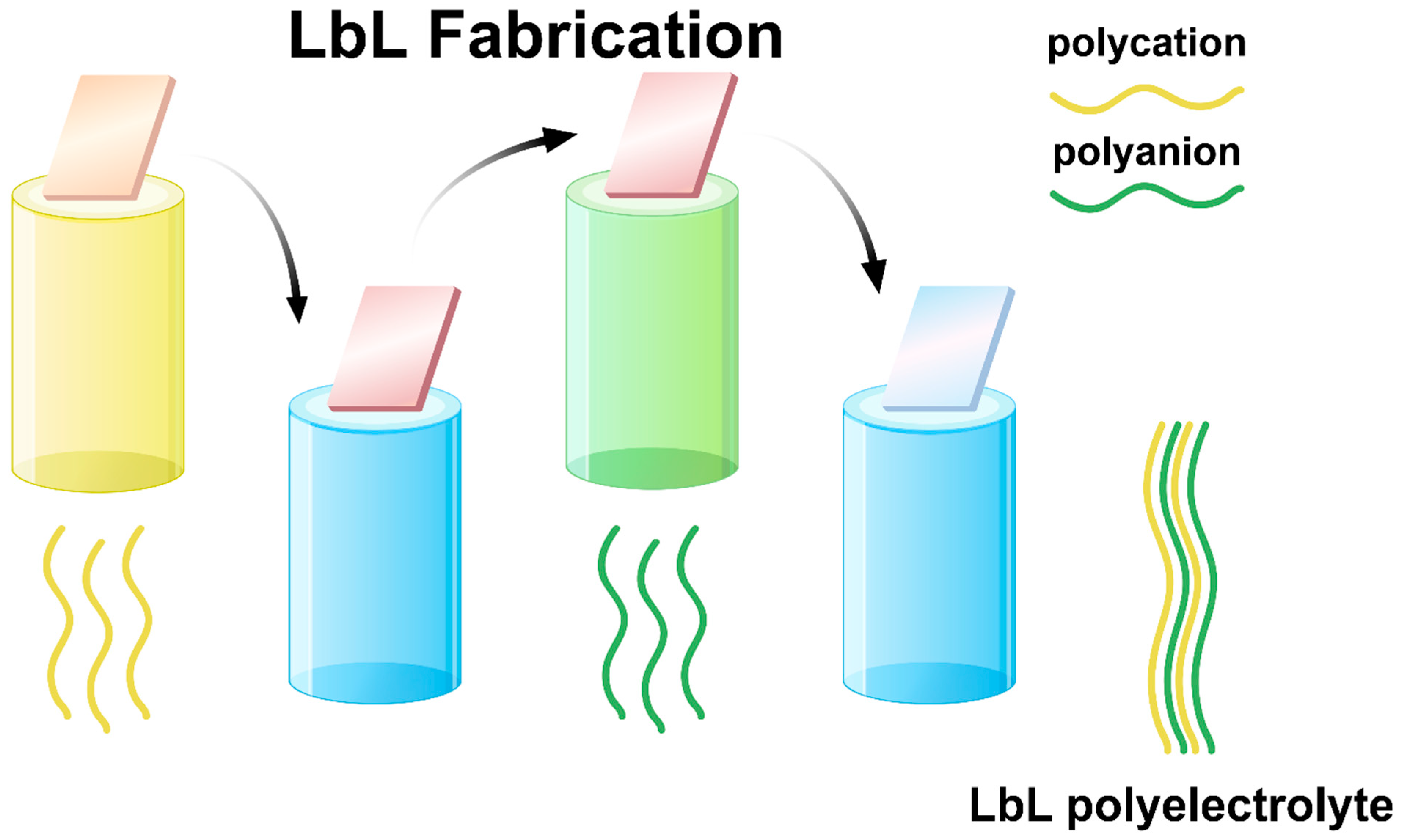 Sensors 24 02903 g002