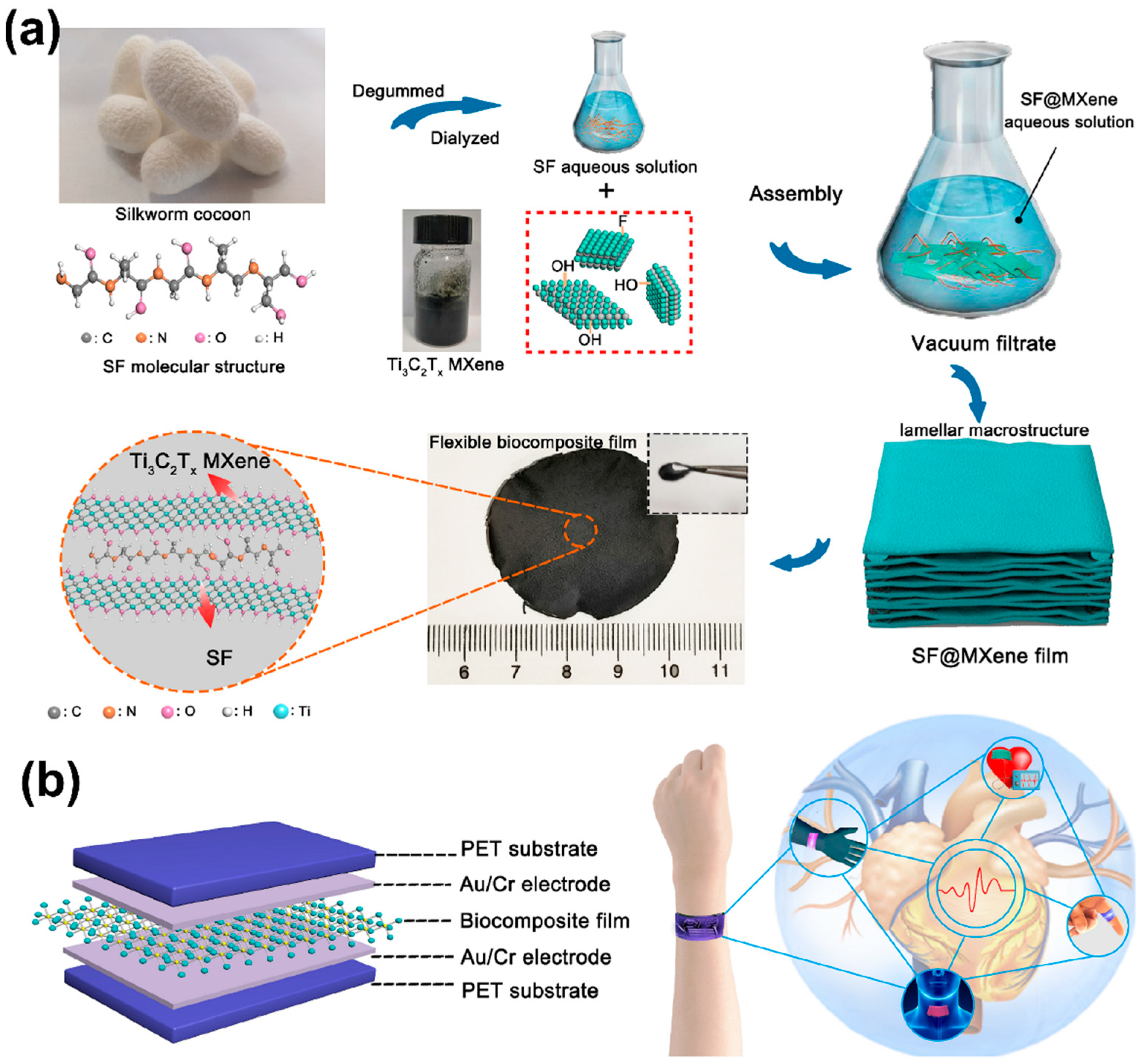 Sensors 24 02903 g007