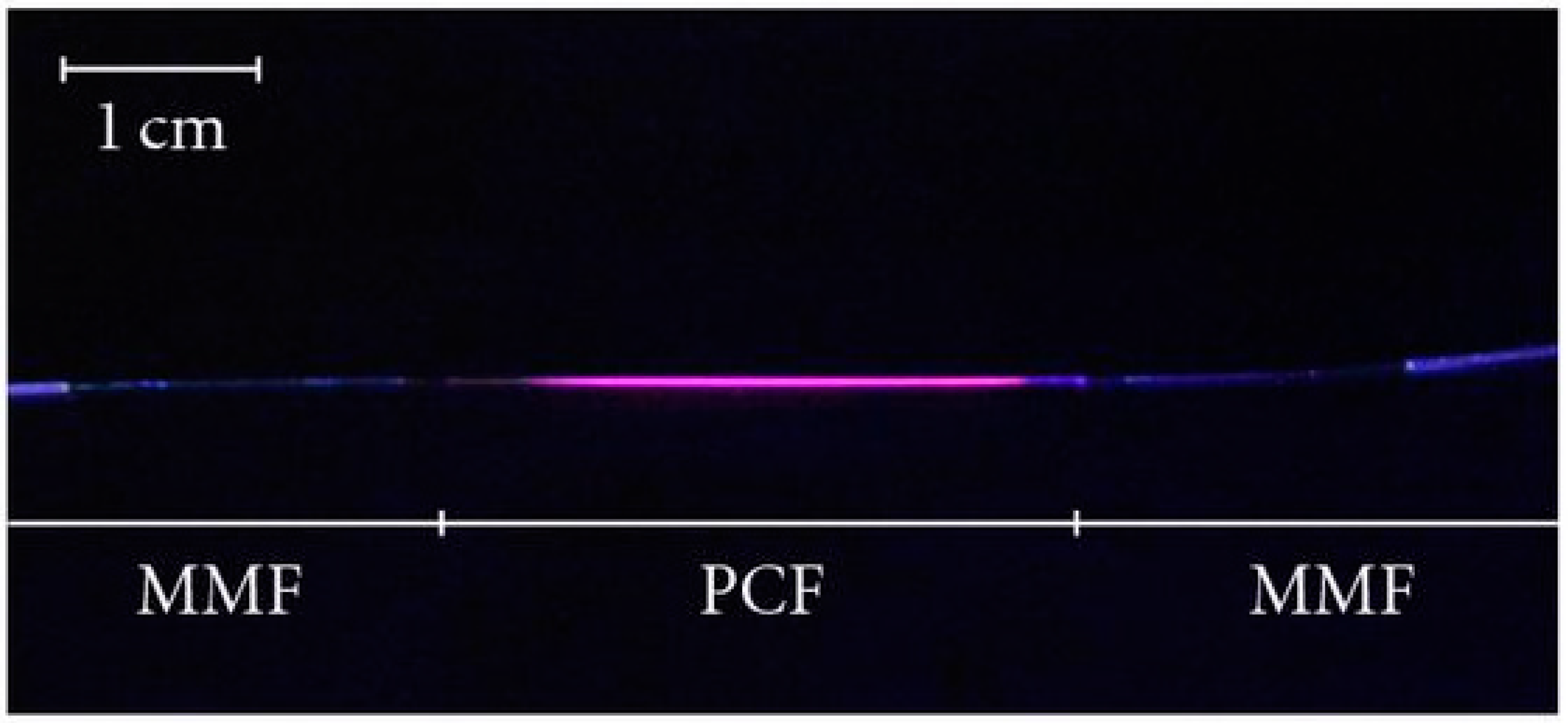 Sensors 24 02903 g012