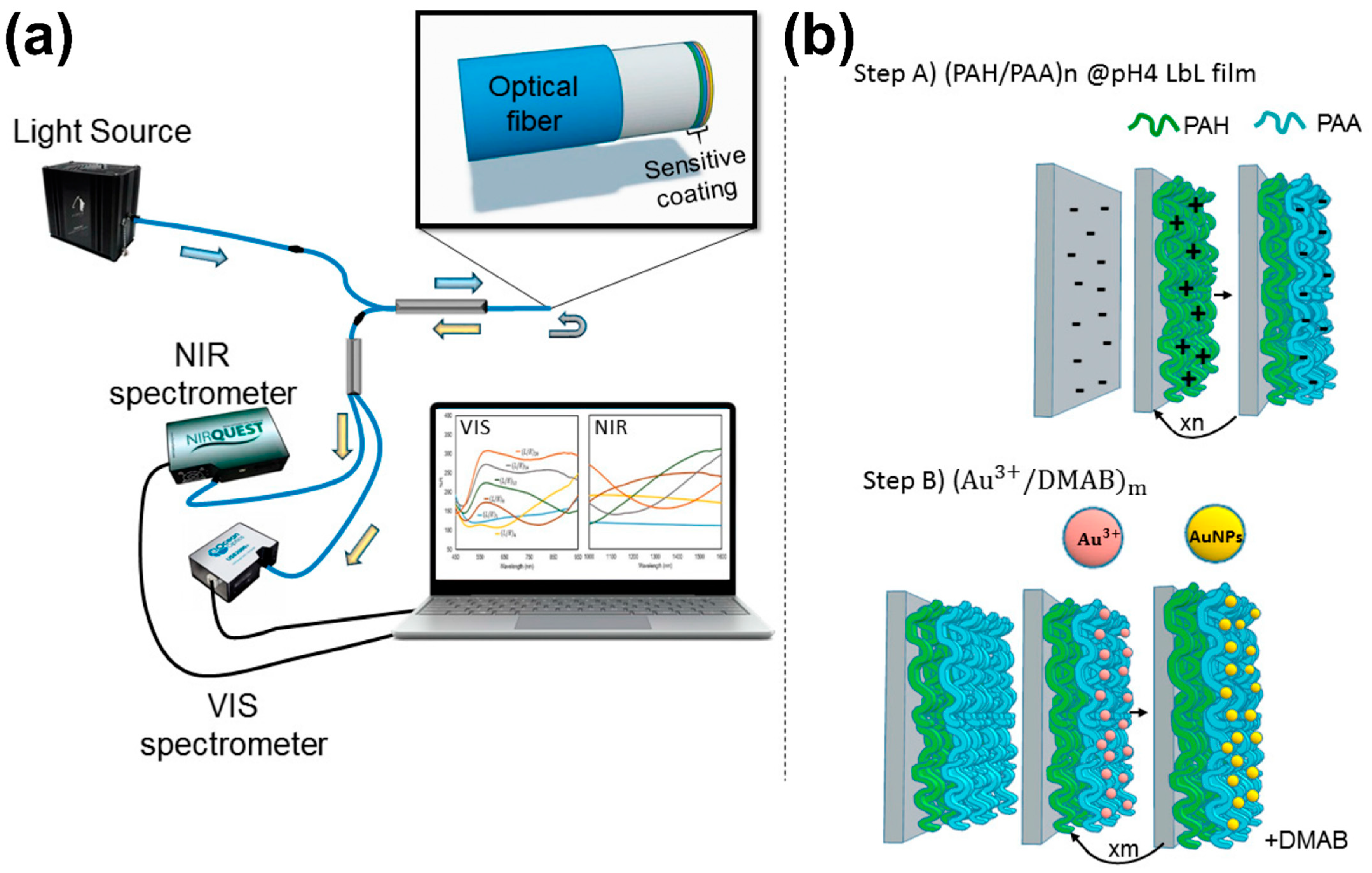 Sensors 24 02903 g013