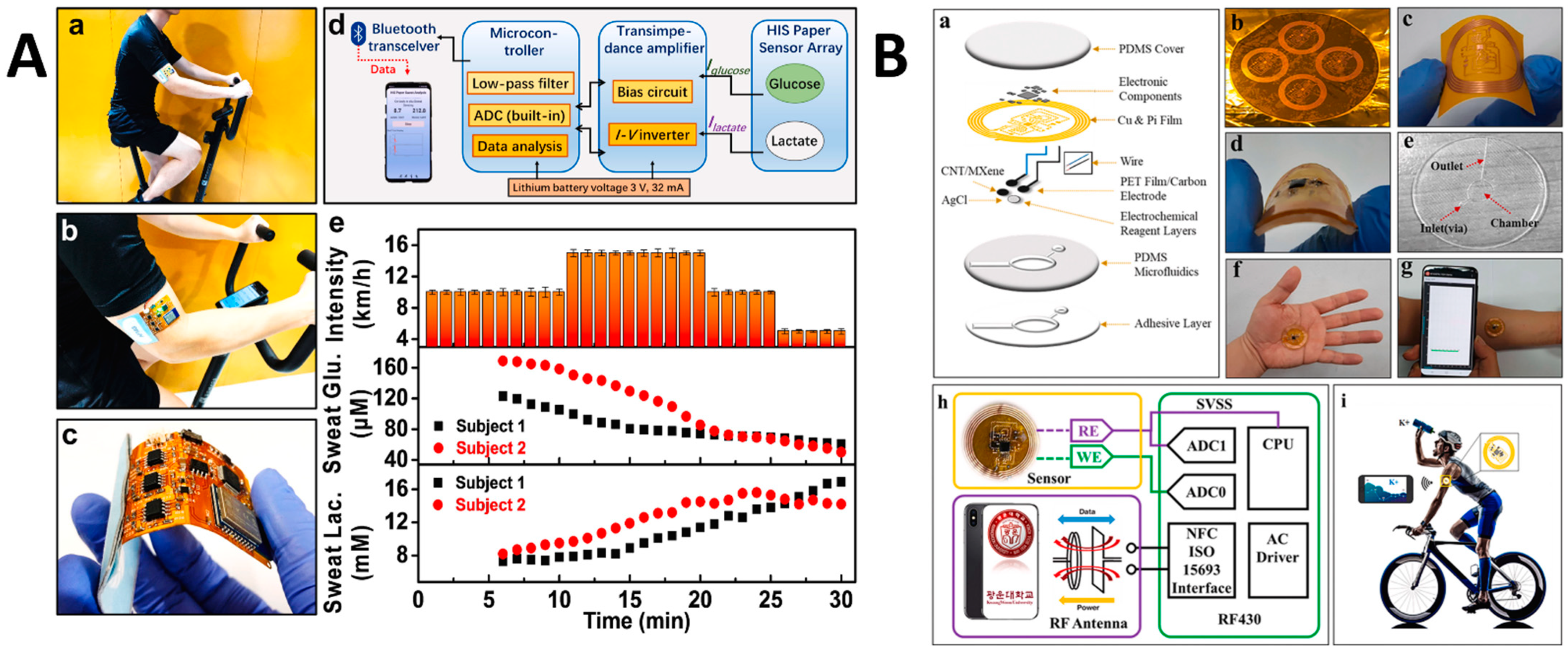 Sensors 24 02903 g014