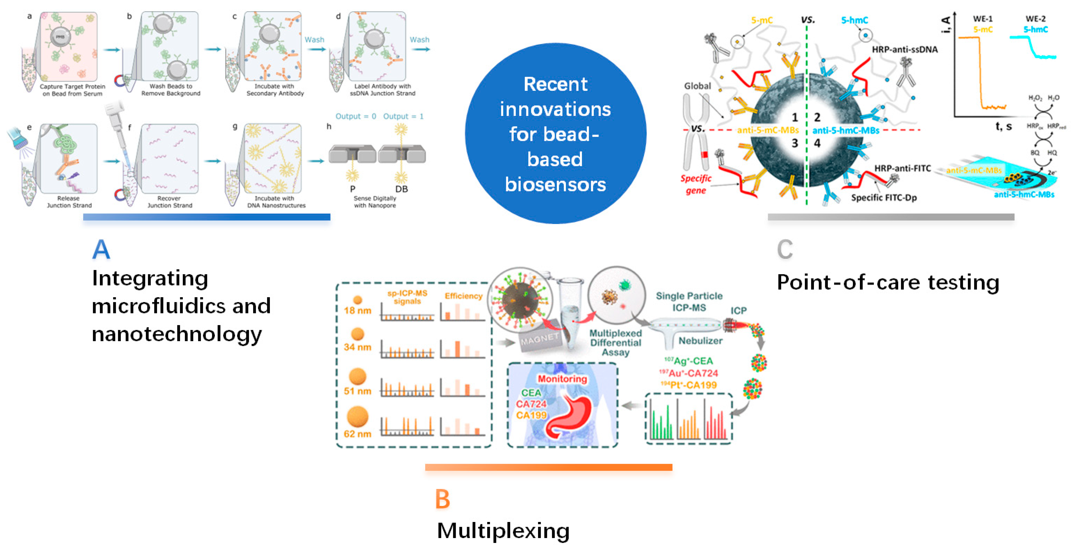 Sensors 24 02904 g002