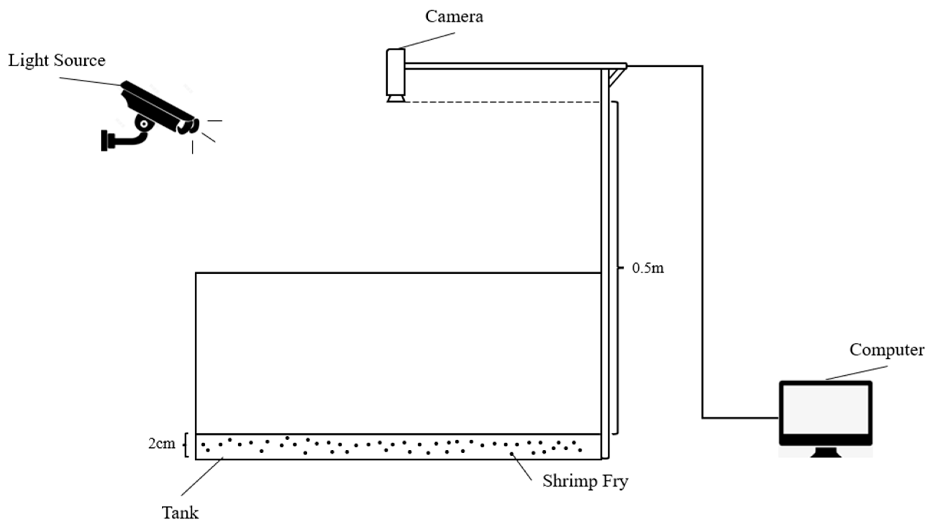 Sensors 24 02916 g001
