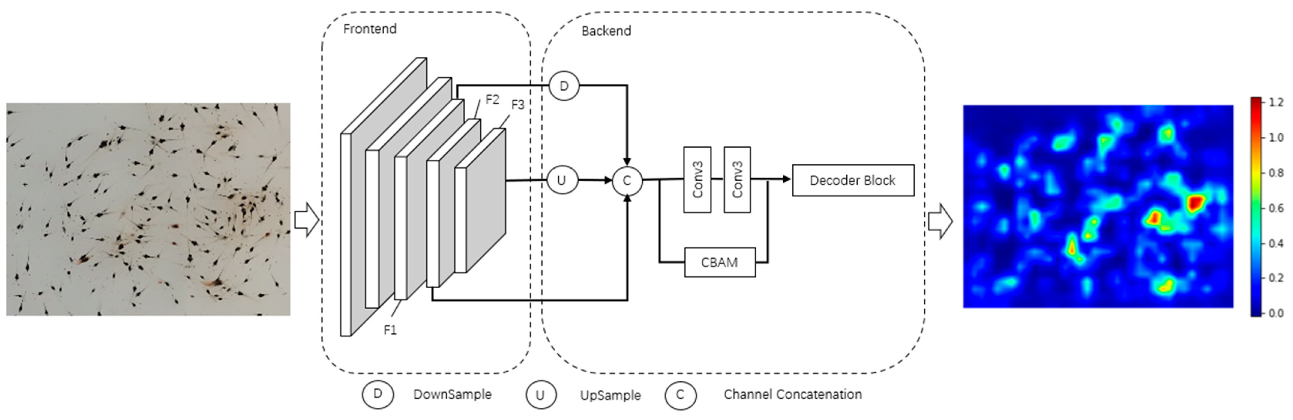 Sensors 24 02916 g003