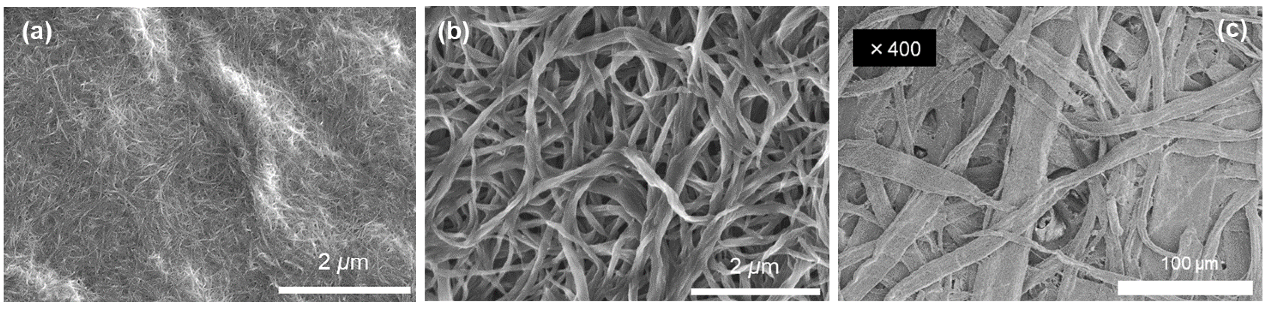 Sensors 24 02946 g002