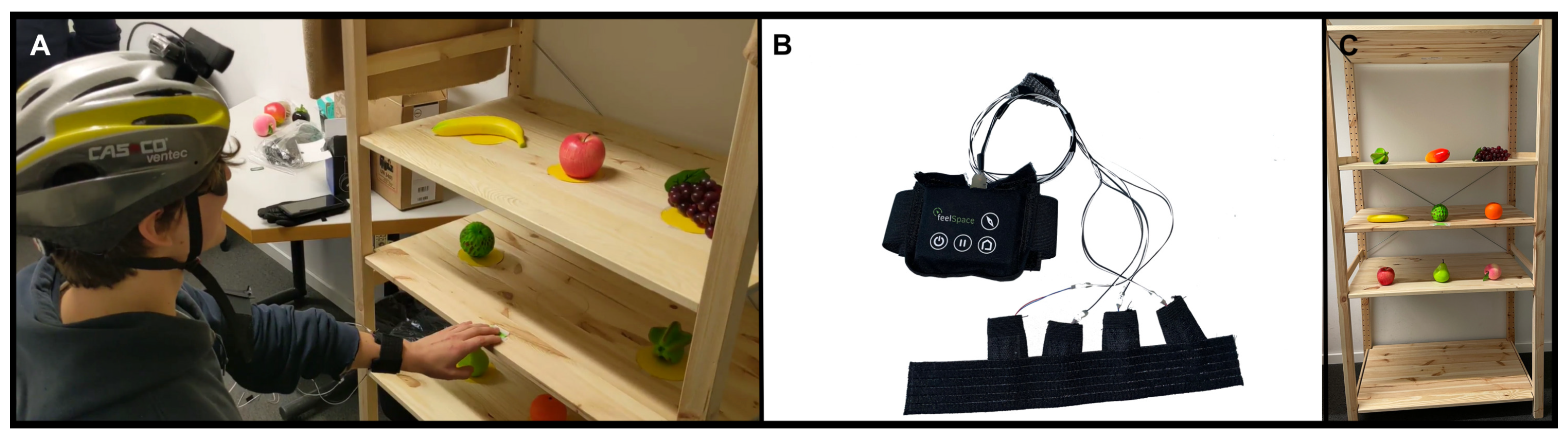 Sensors 24 02949 g001