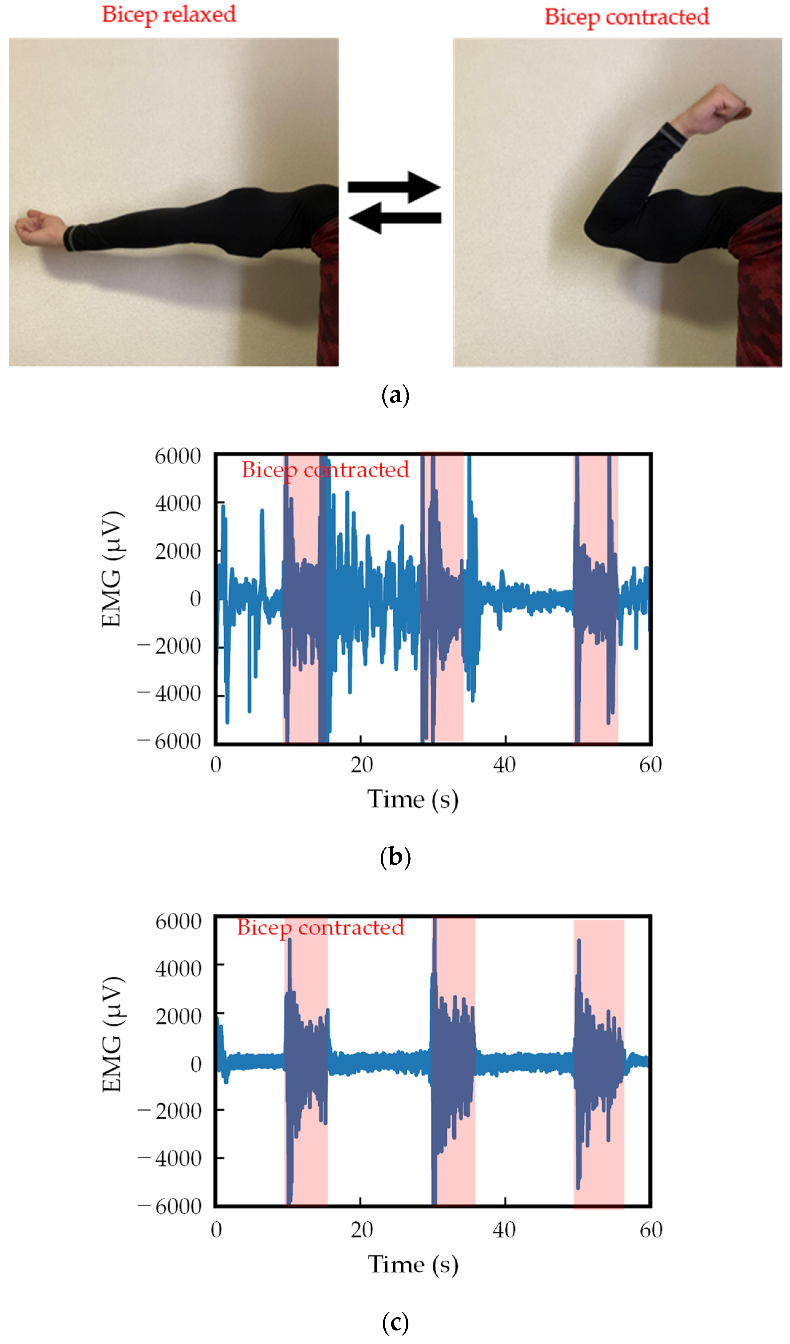 Sensors 24 02985 g008