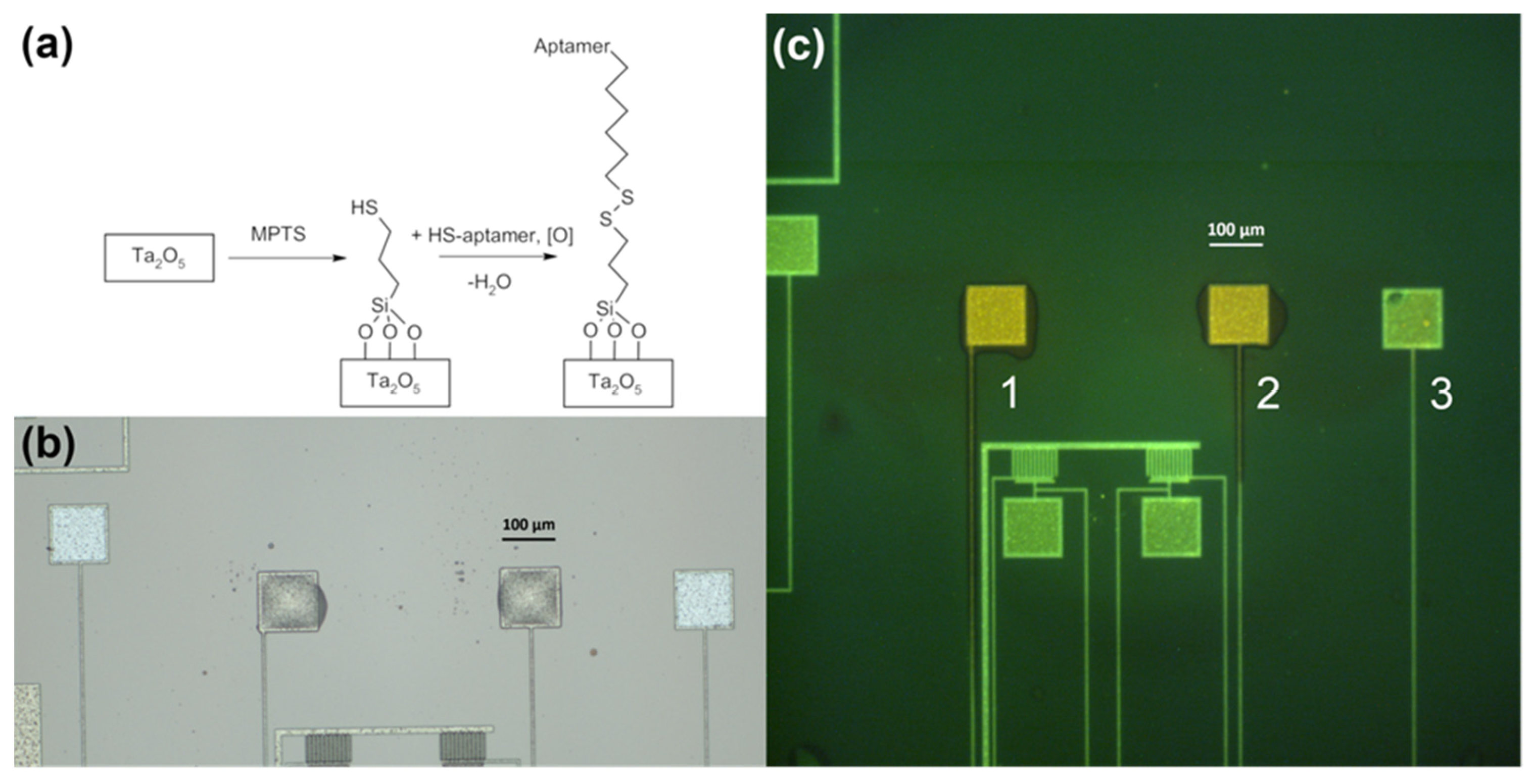 Sensors 24 03008 g005