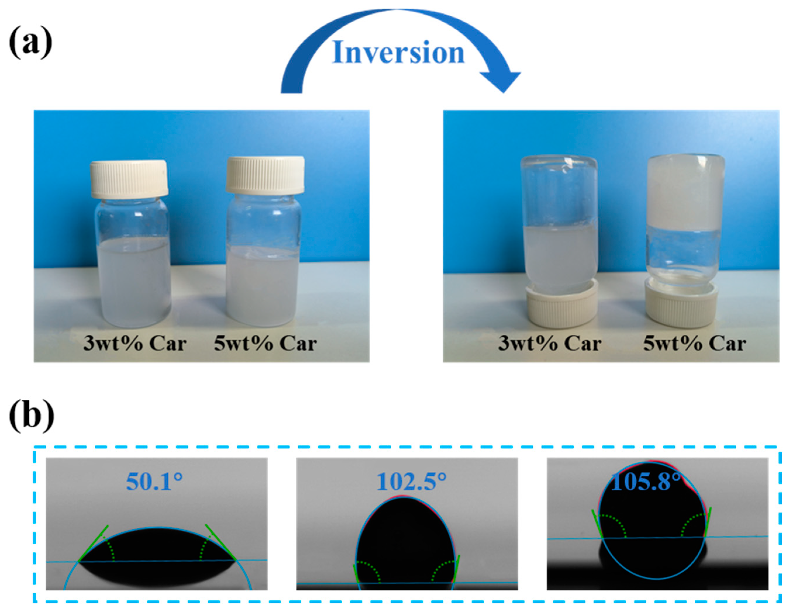 Sensors 24 03038 g004