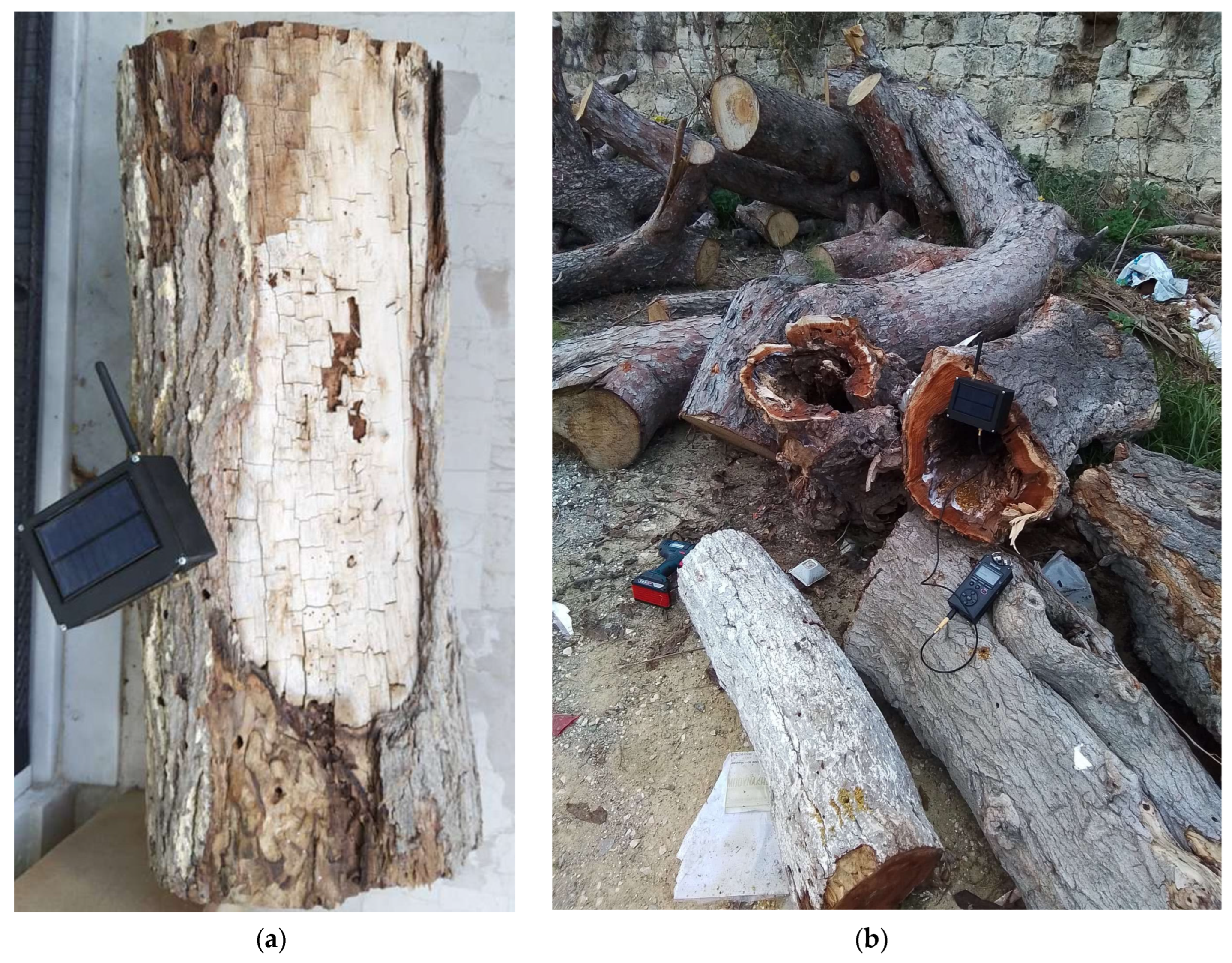 Sensors 24 03074 g006