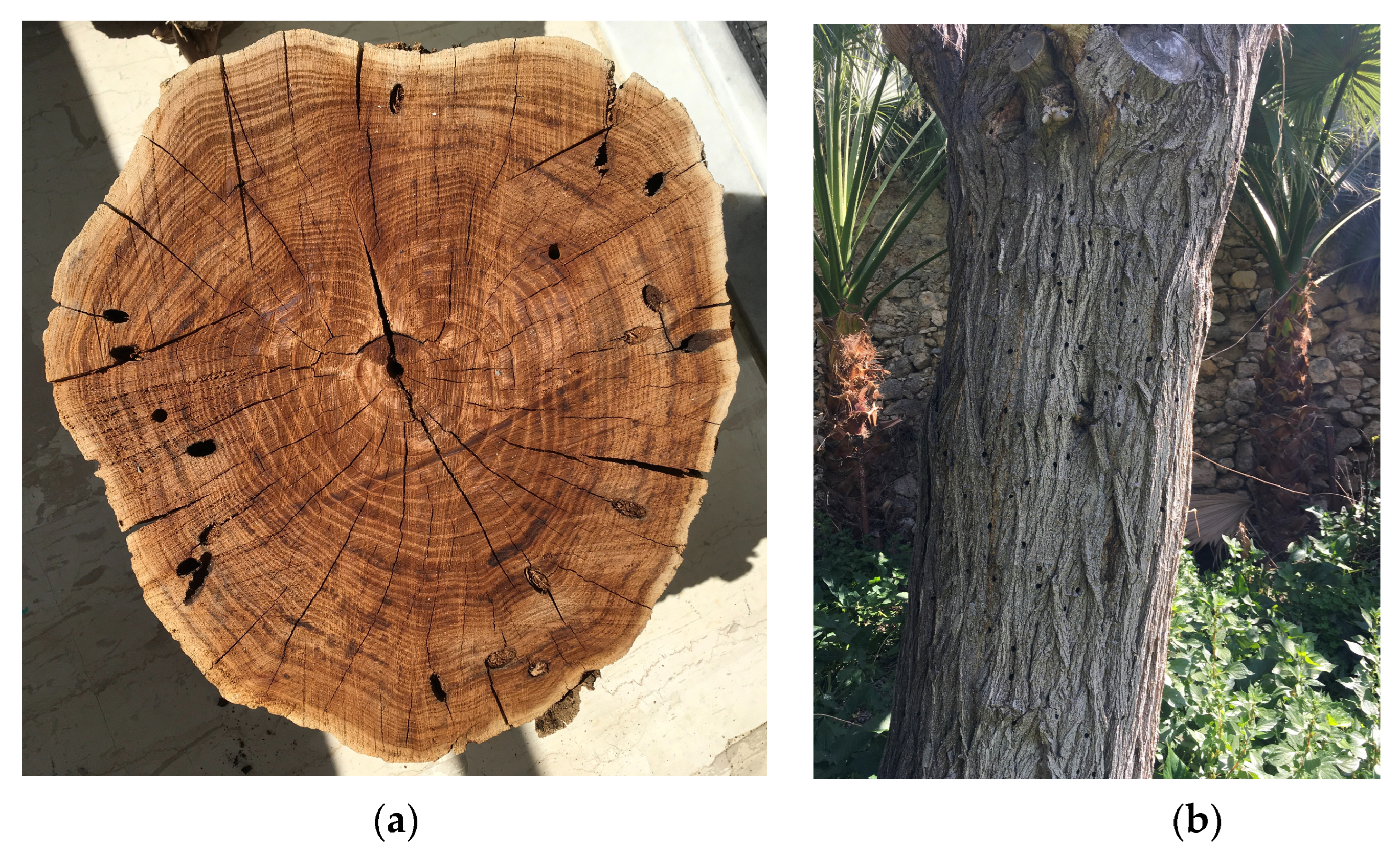 Sensors 24 03074 g014