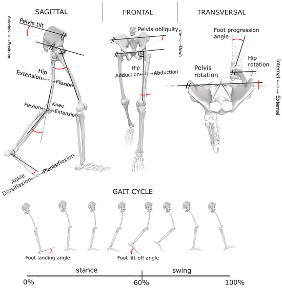 Sensors 24 03091 g0a1