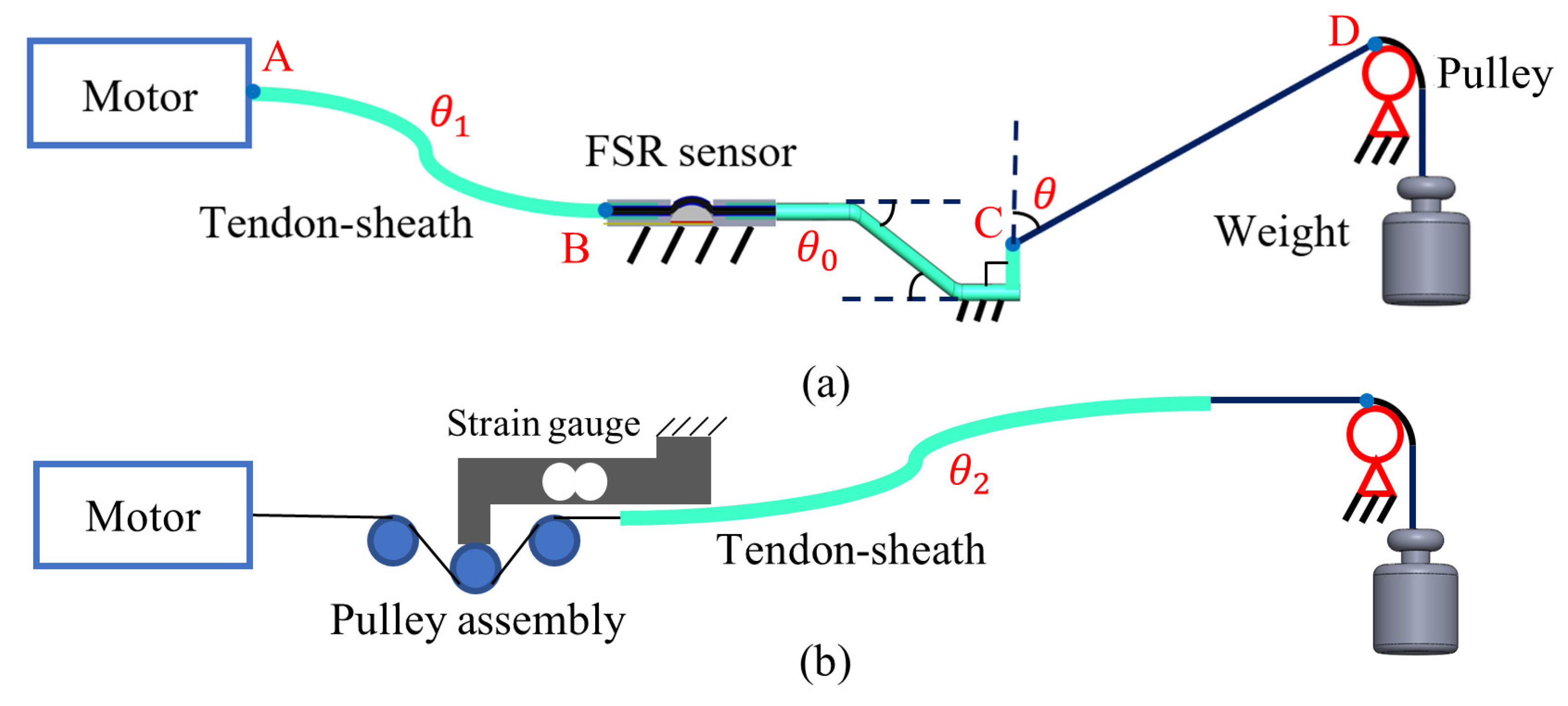 Sensors 24 03156 g008