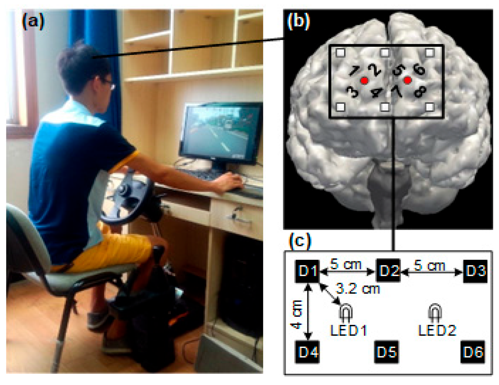 Sensors 24 03175 g003