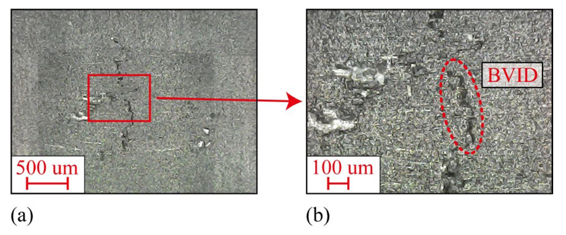 Sensors 24 03201 g002