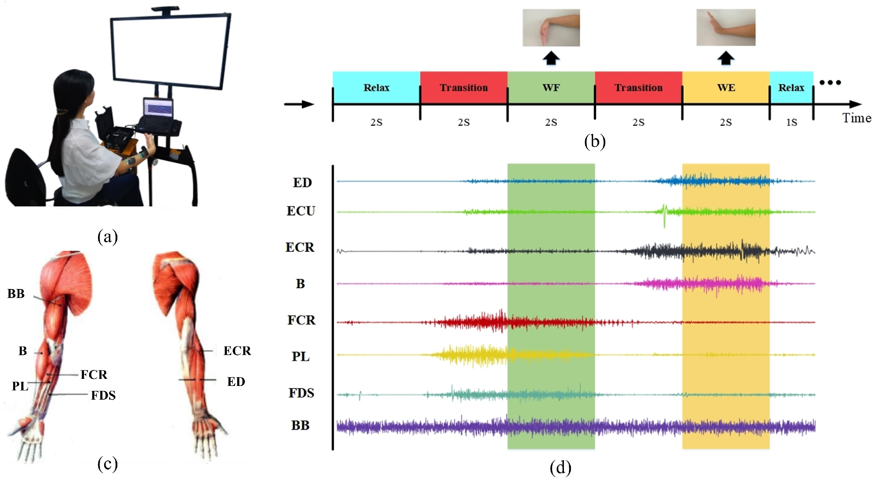 Sensors 24 03225 g001