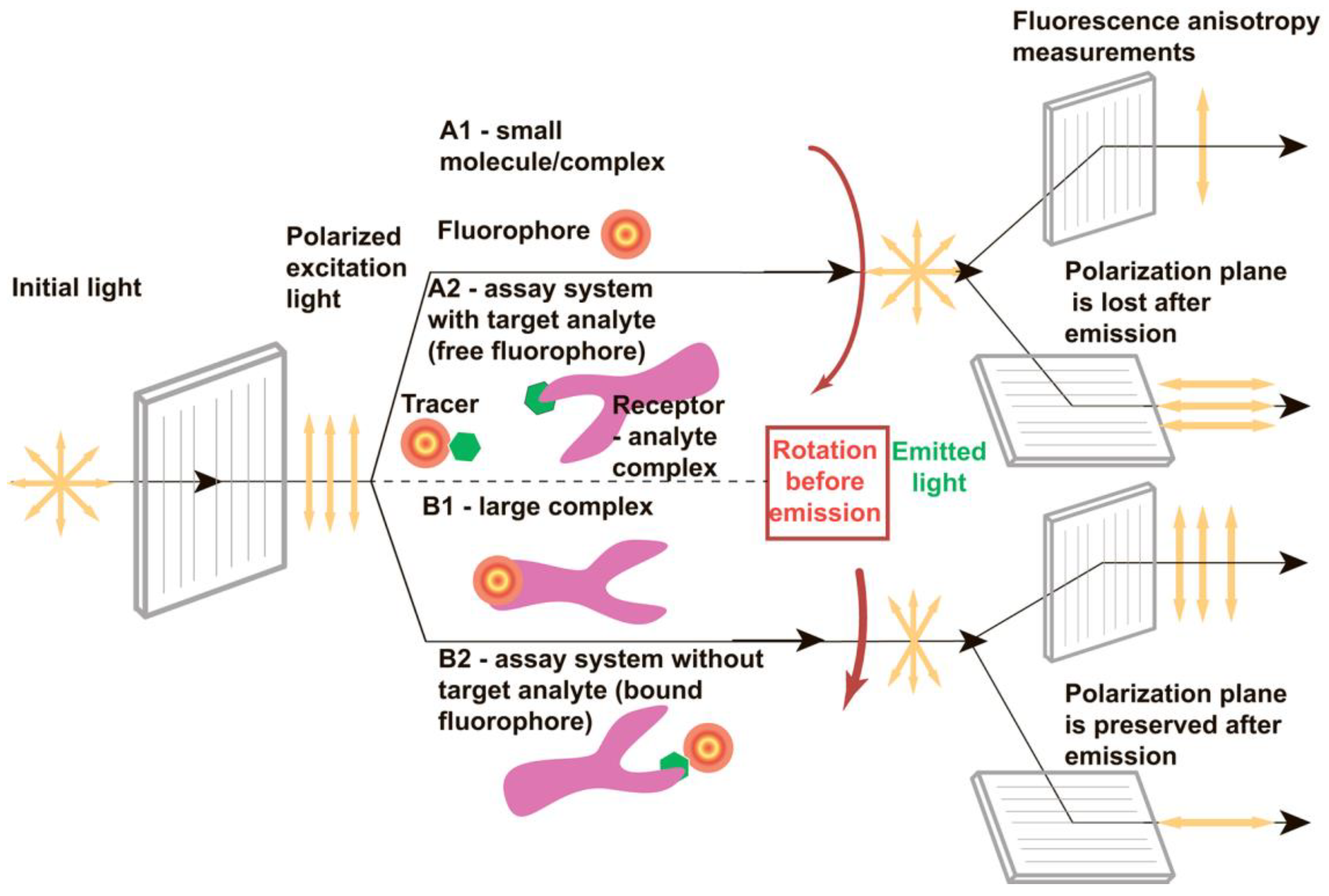 Sensors 24 03230 g001