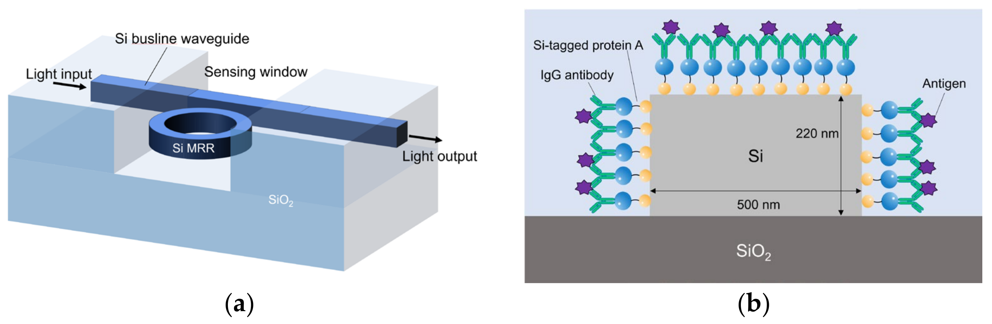 Sensors 24 03250 g001
