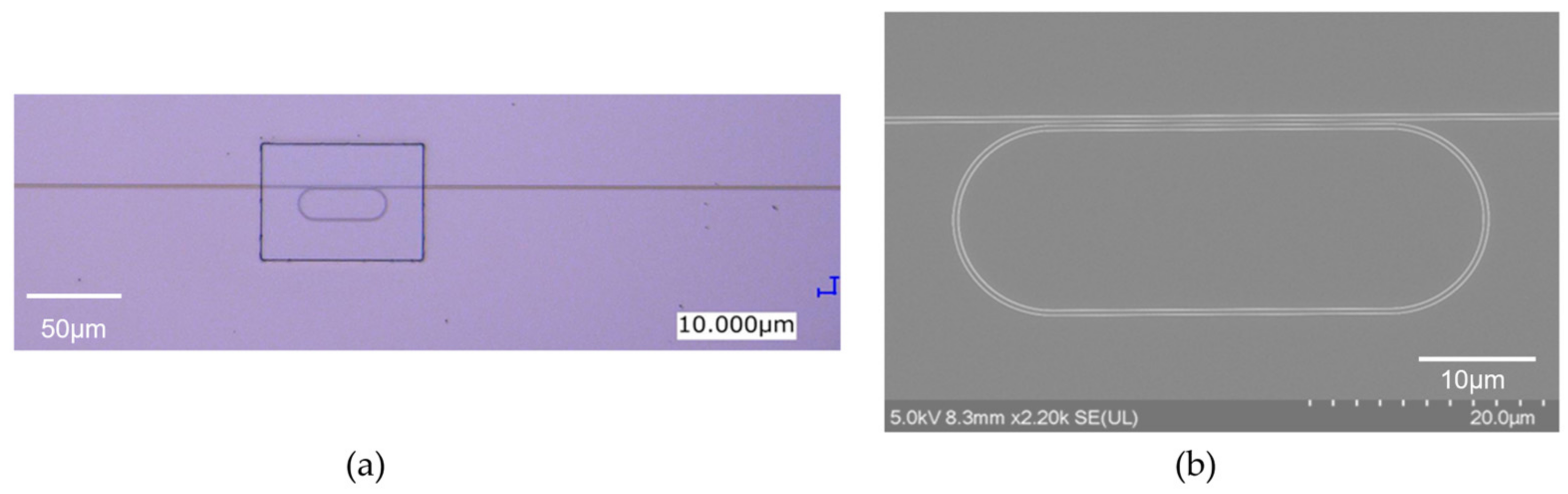 Sensors 24 03250 g002