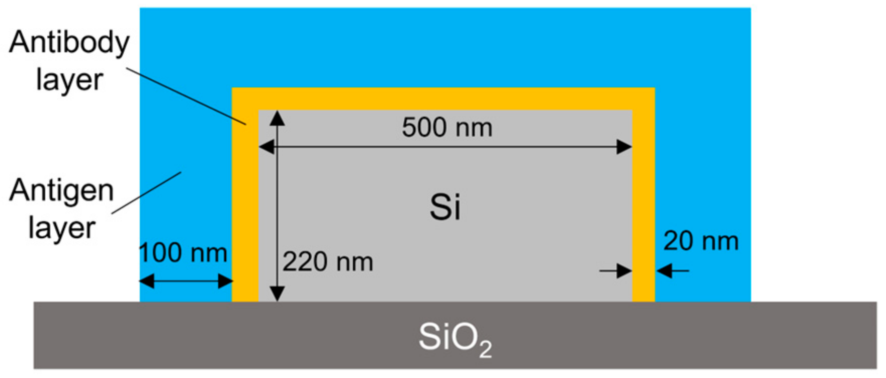 Sensors 24 03250 g008