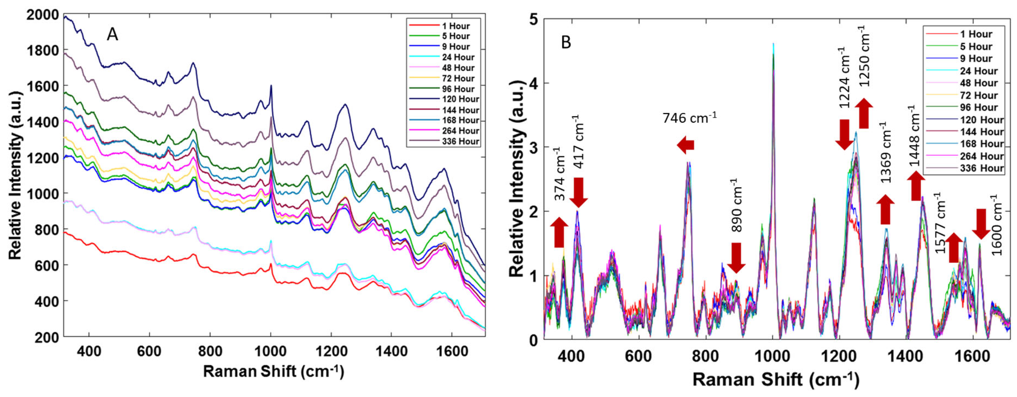Sensors 24 03262 g001