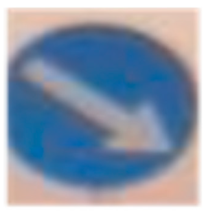 Sensors 24 03282 i002