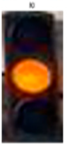 Sensors 24 03282 i005