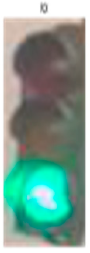 Sensors 24 03282 i007