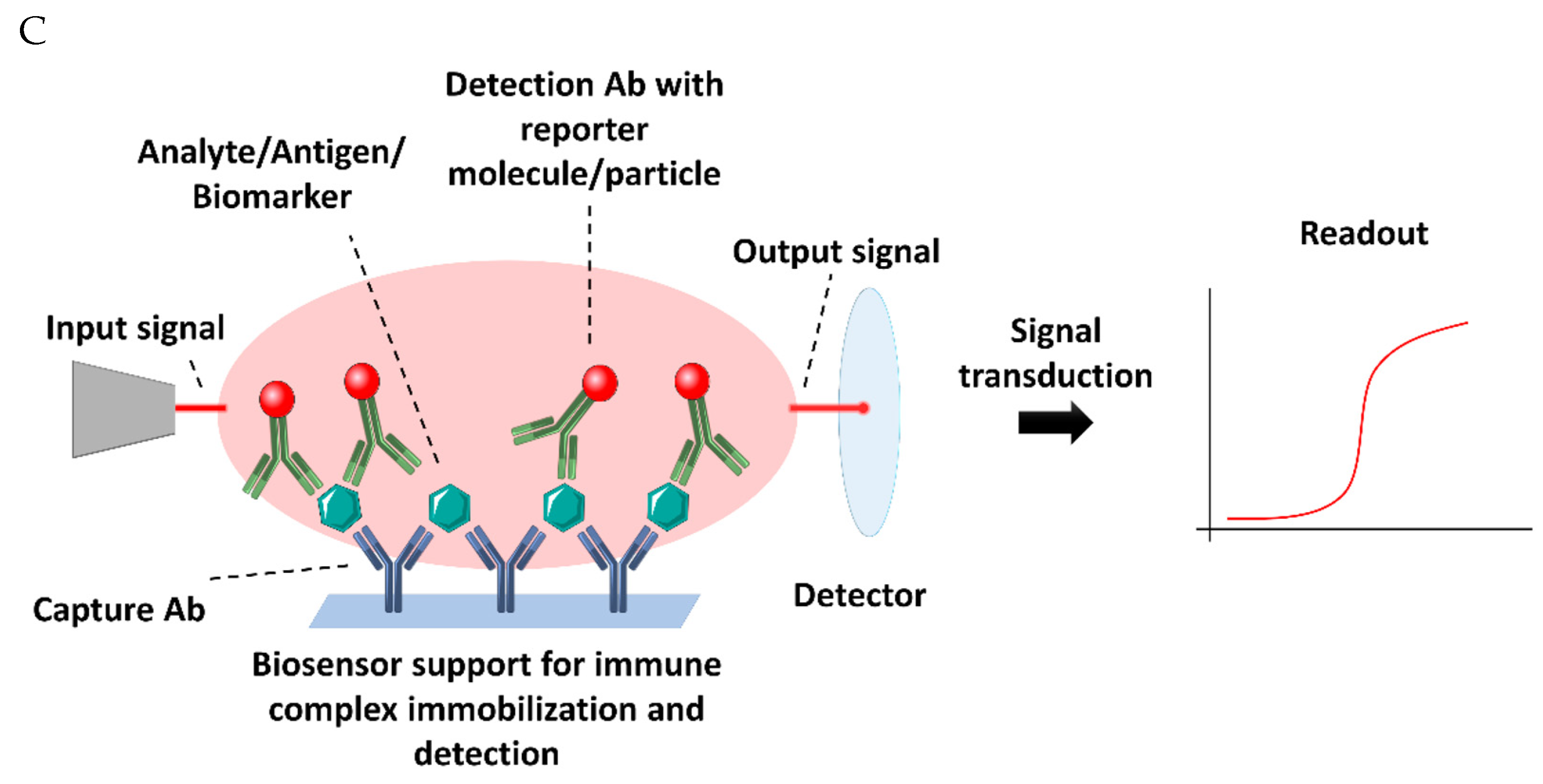 Sensors 24 03294 g001b