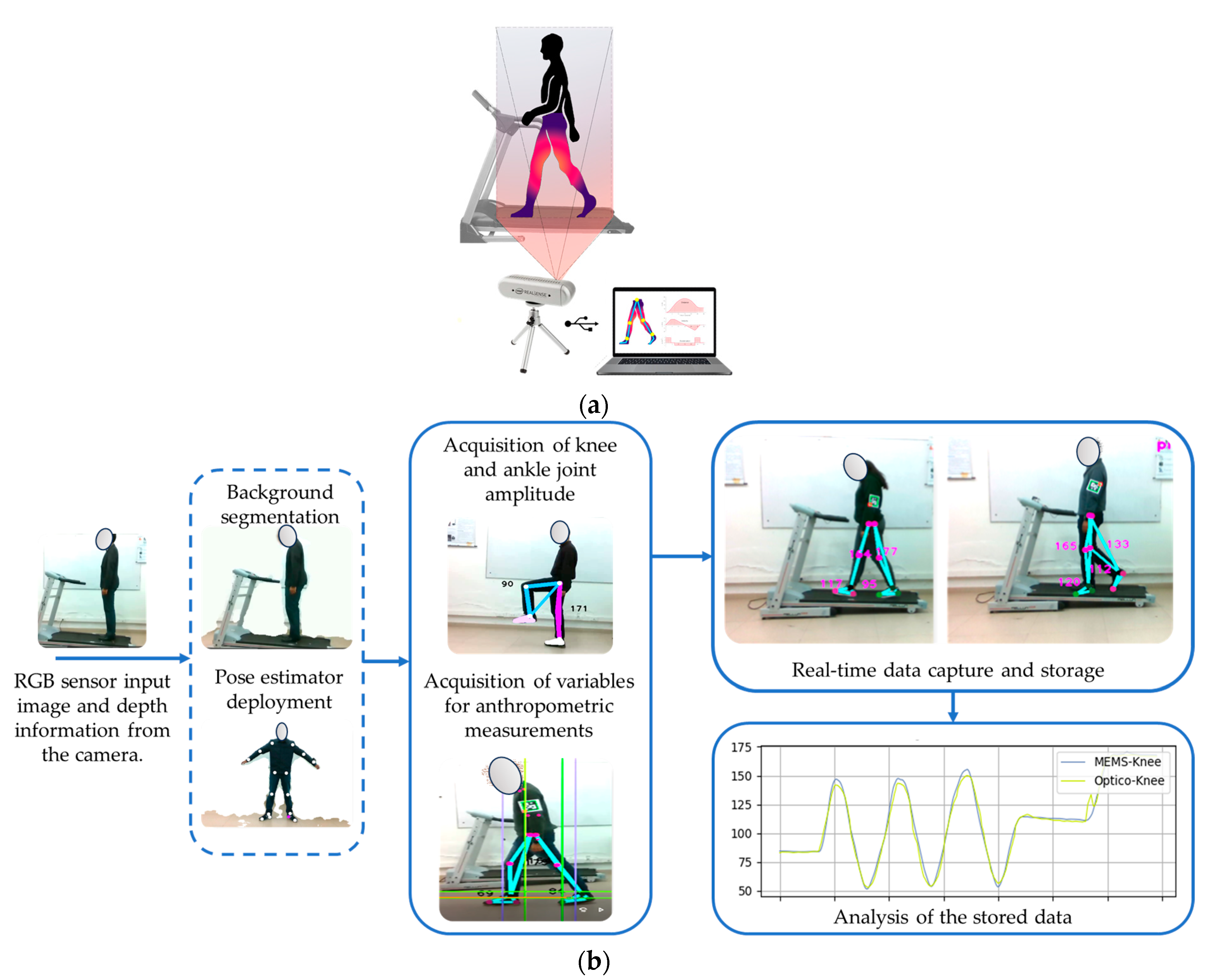 Sensors 24 03371 g001