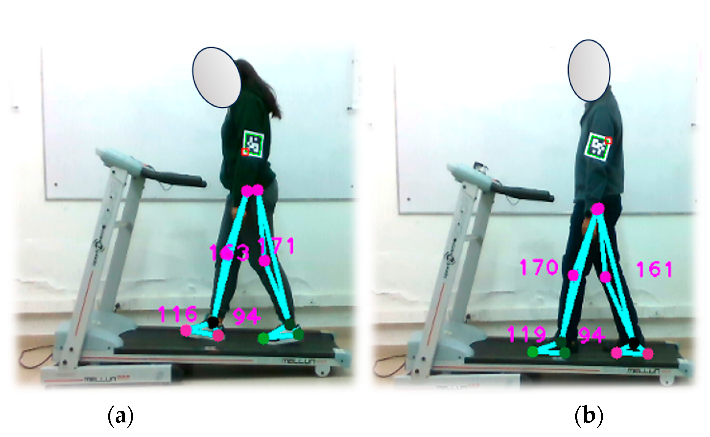 Sensors 24 03371 g013