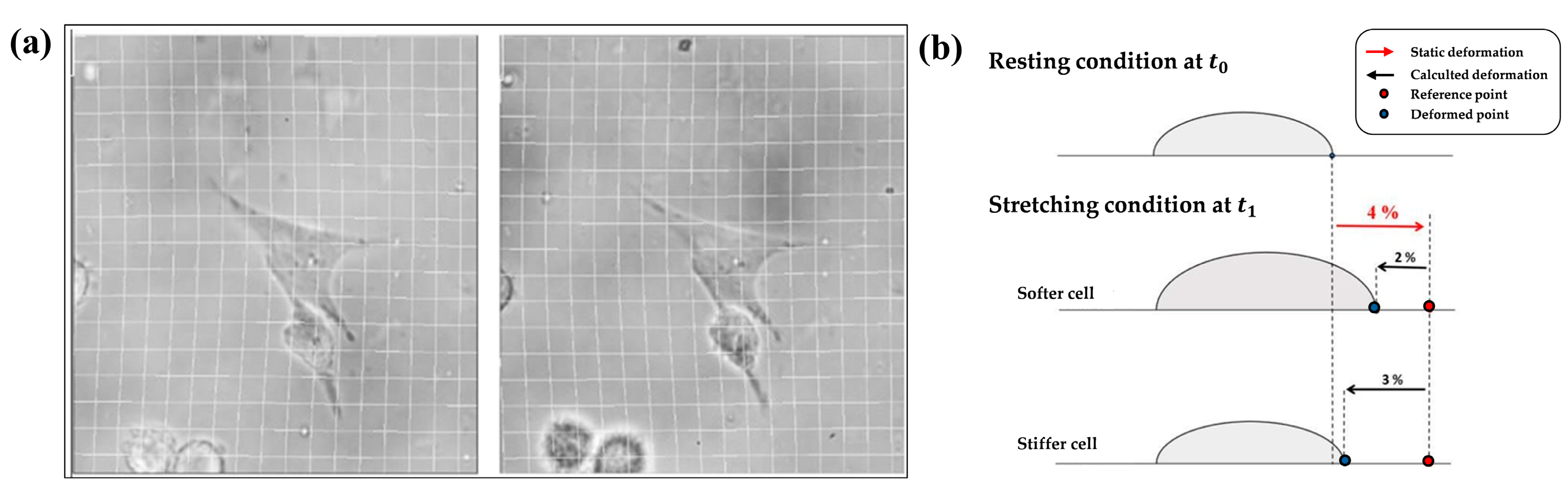 Sensors 24 03383 g006