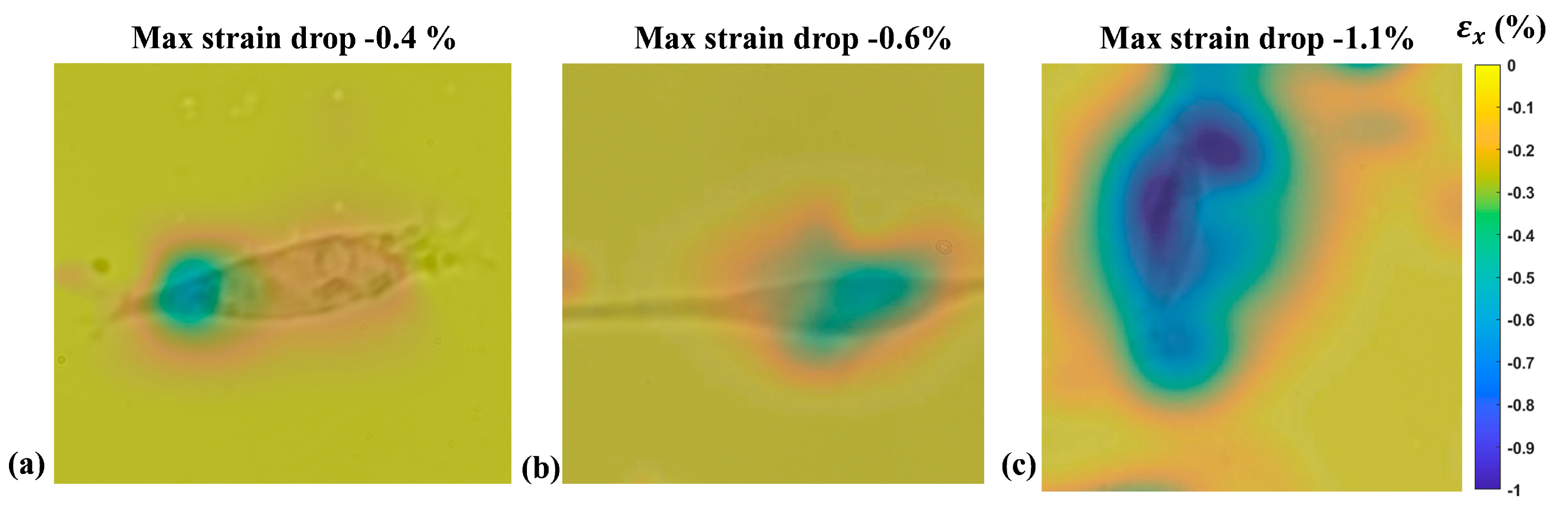 Sensors 24 03383 g010