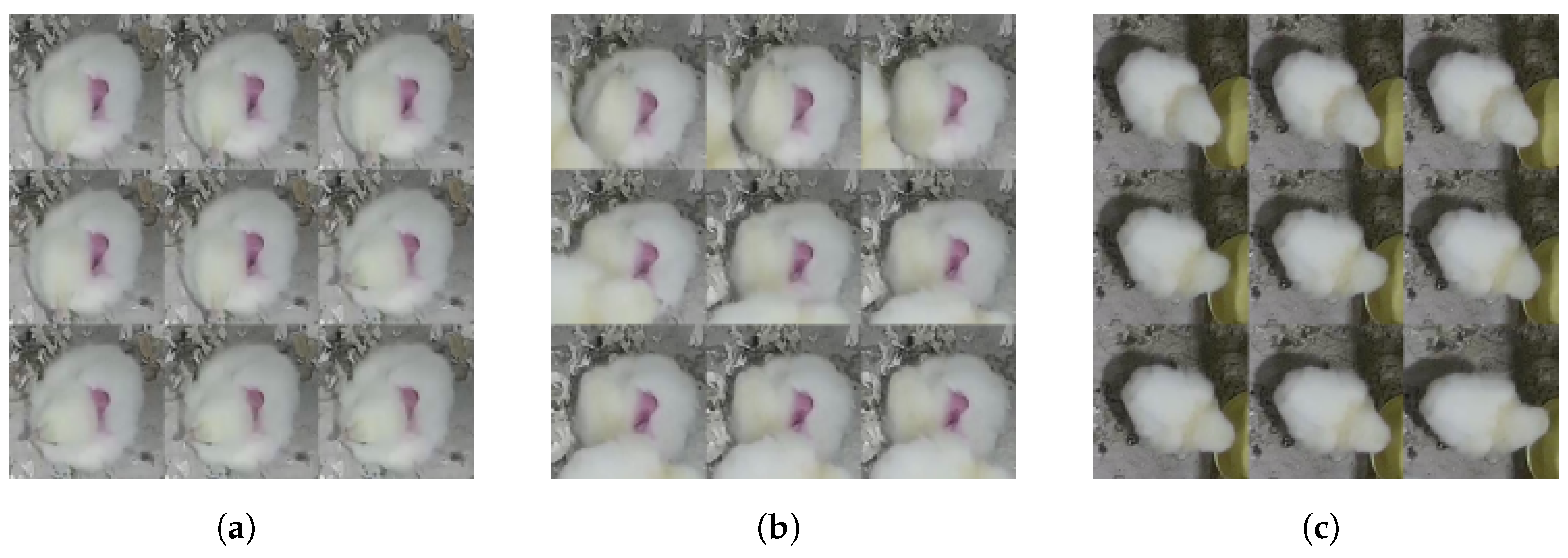 Sensors 24 03409 g003