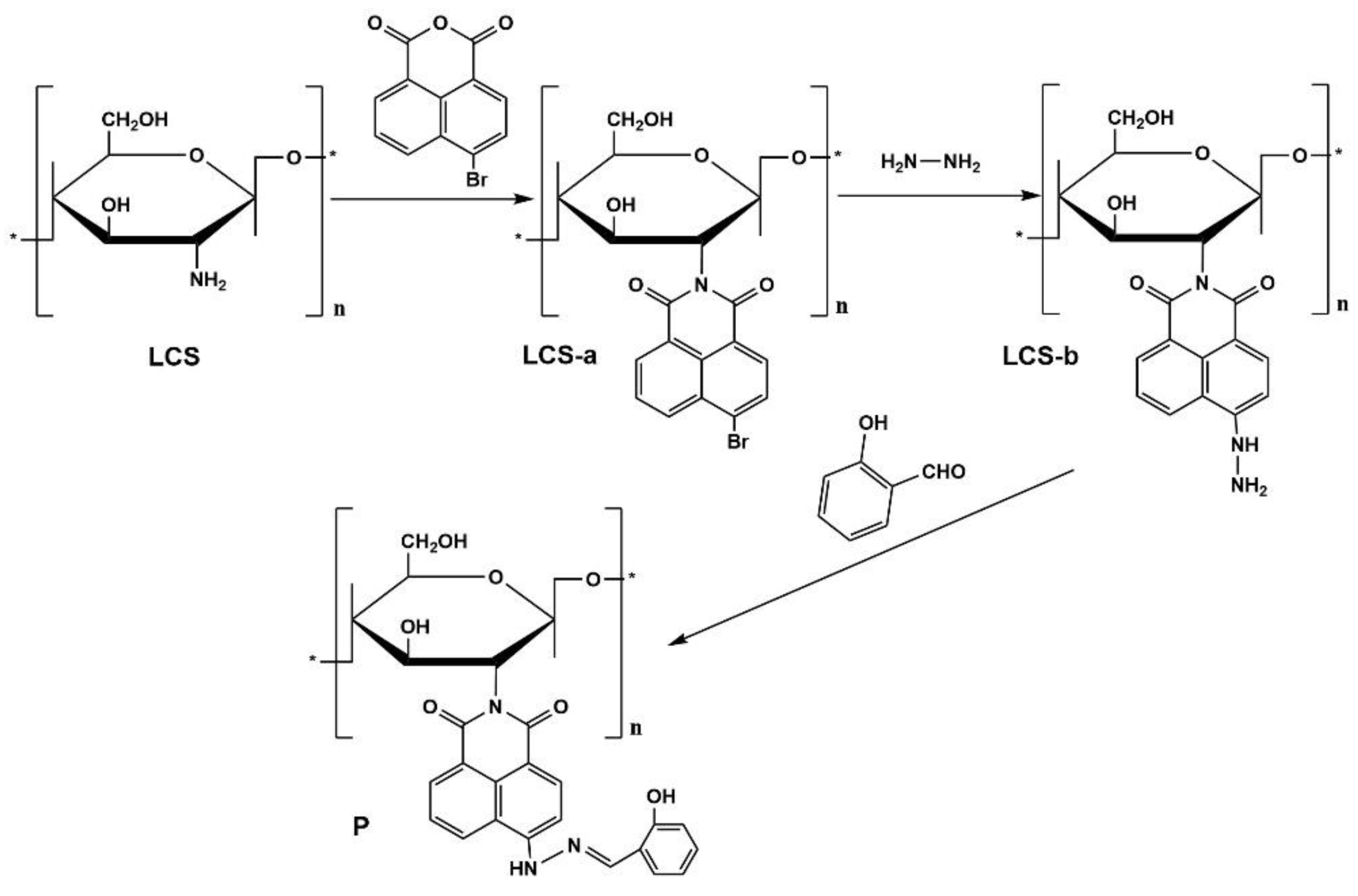 Sensors 24 03425 g001