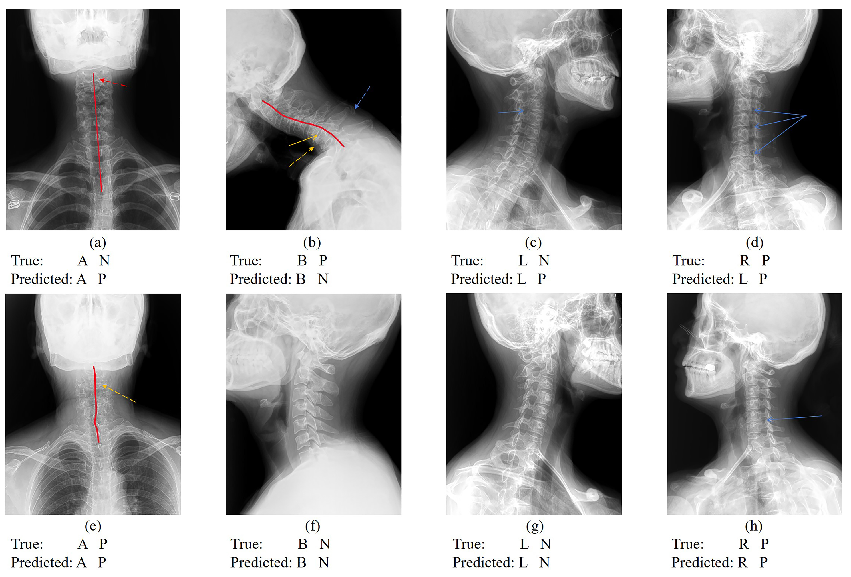 Sensors 24 03428 g006