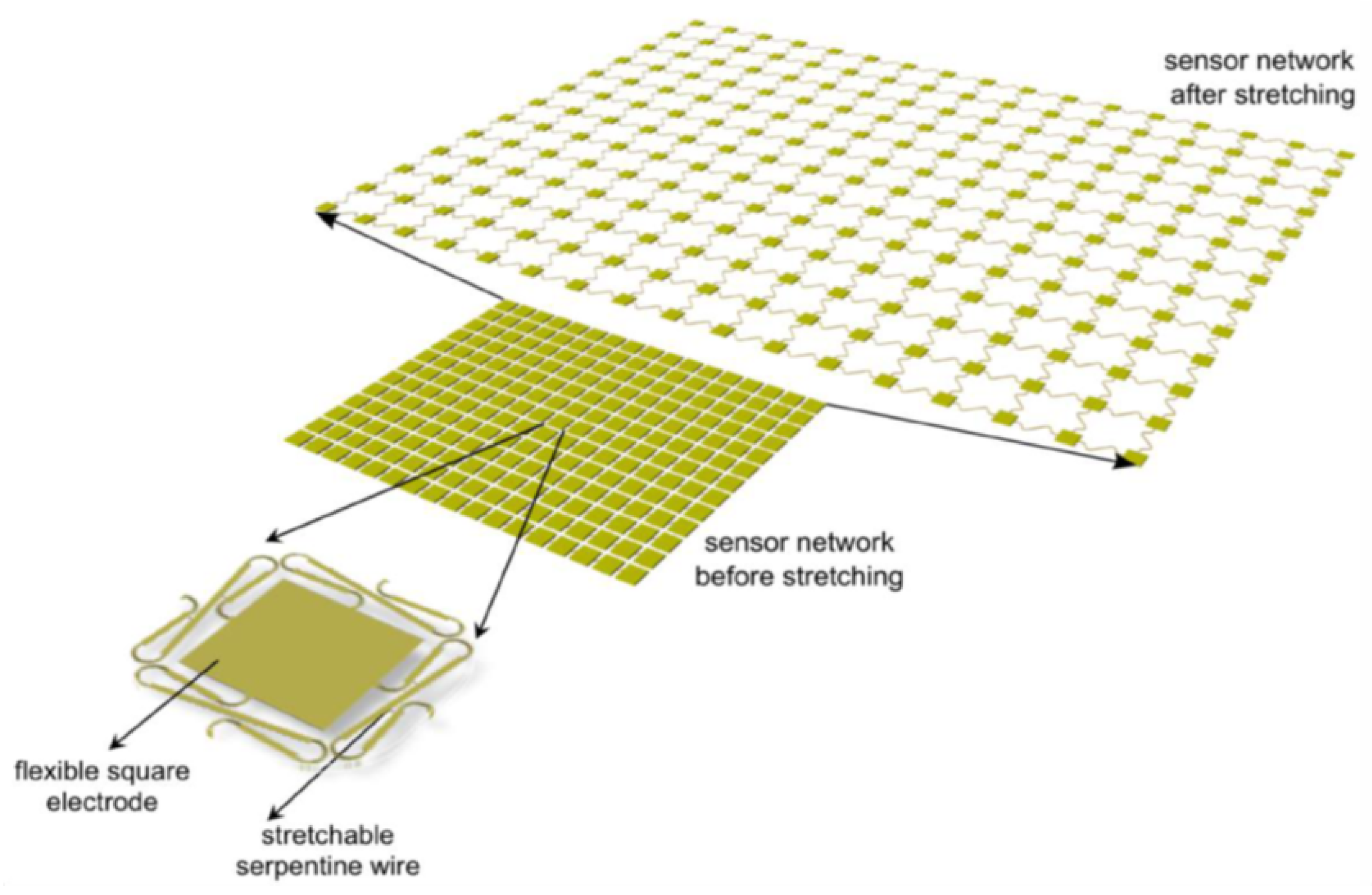 Sensors 24 03441 g001