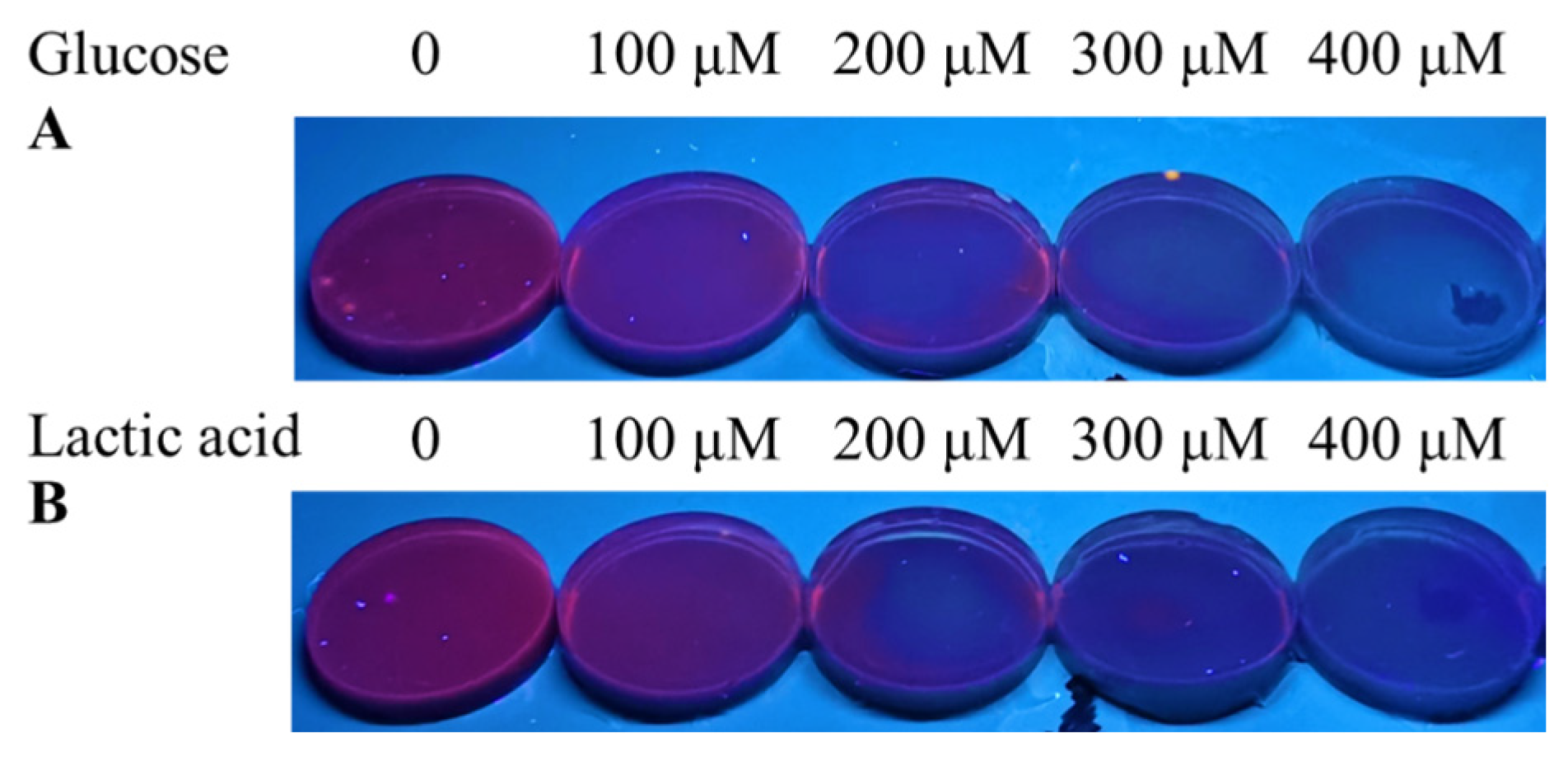 Sensors 24 03447 g011