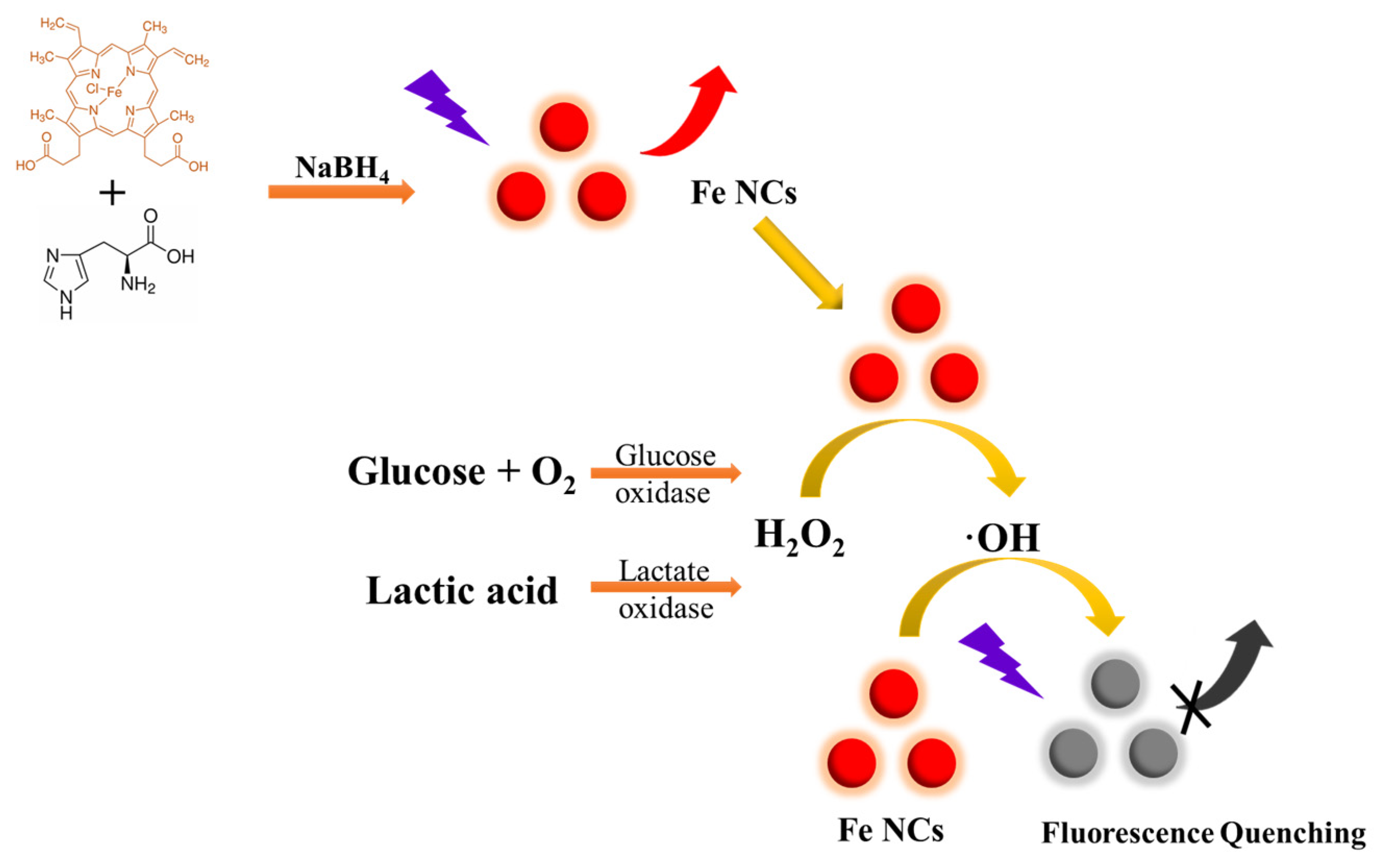 Sensors 24 03447 sch001