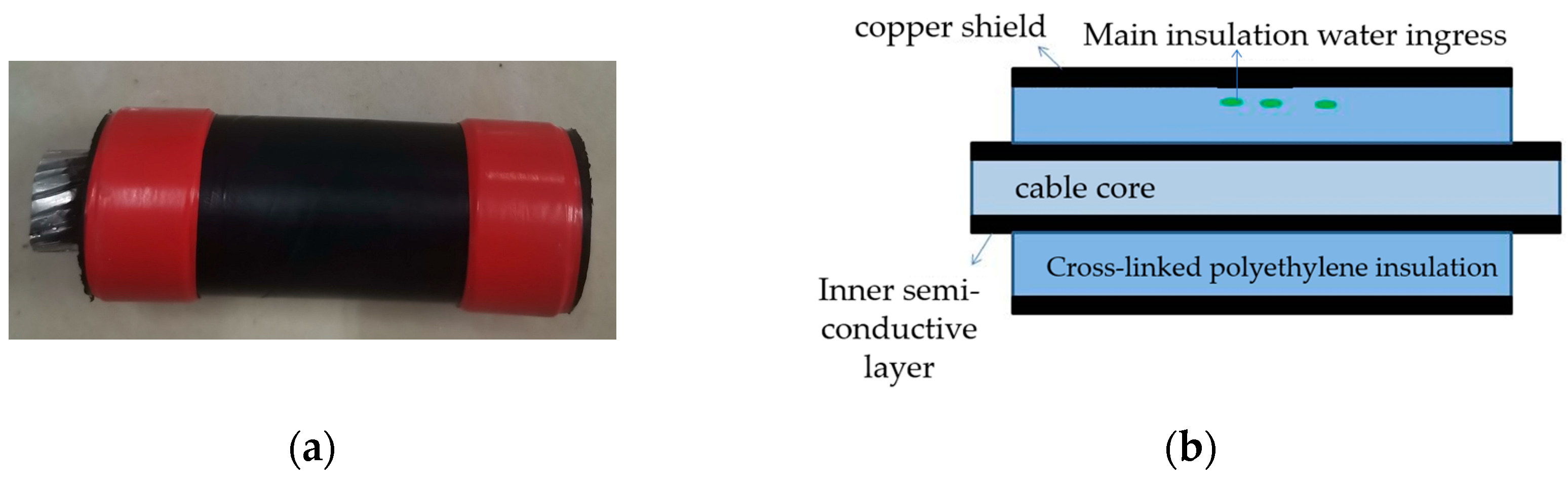 Sensors 24 03460 g004