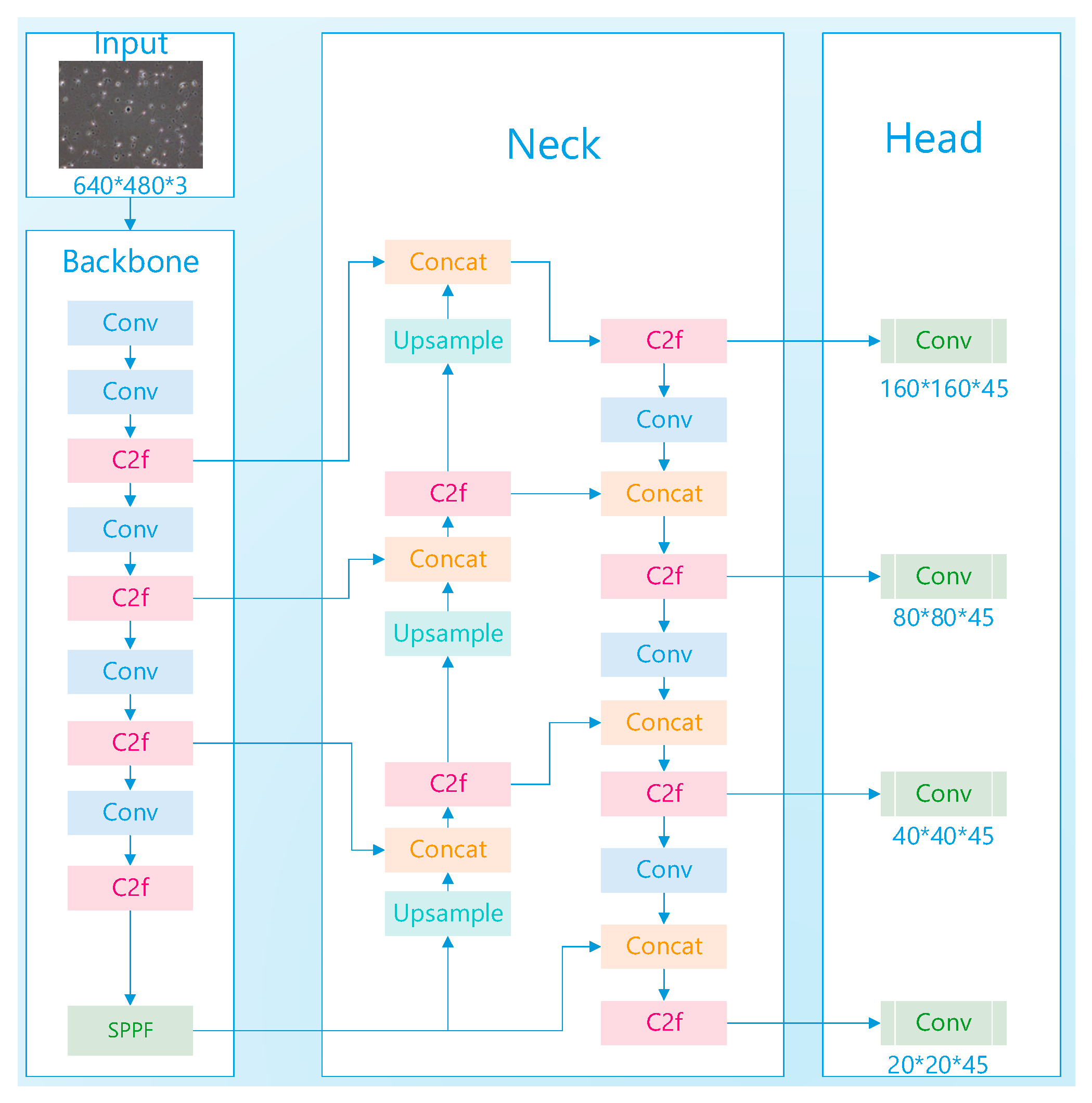 Sensors 24 03493 g004