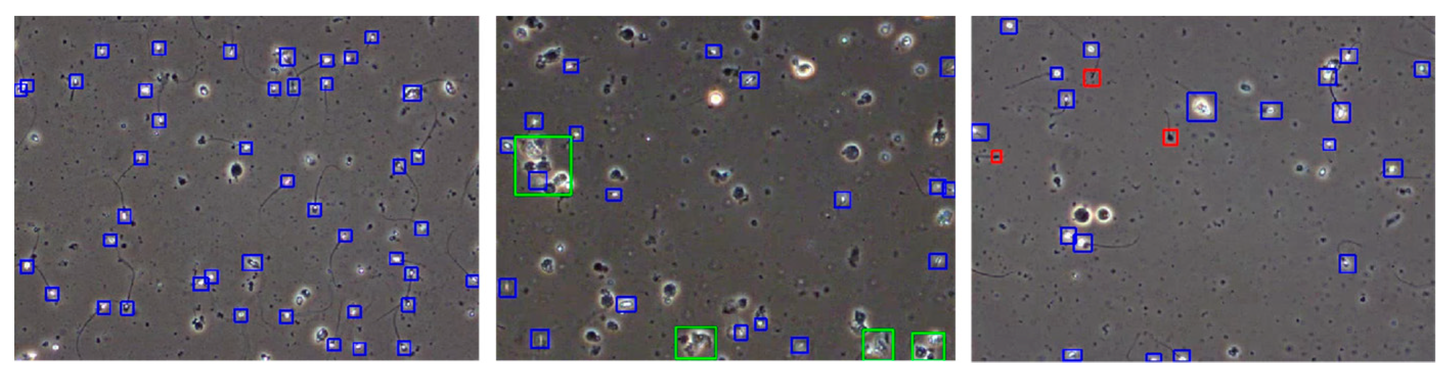 Sensors 24 03493 g009